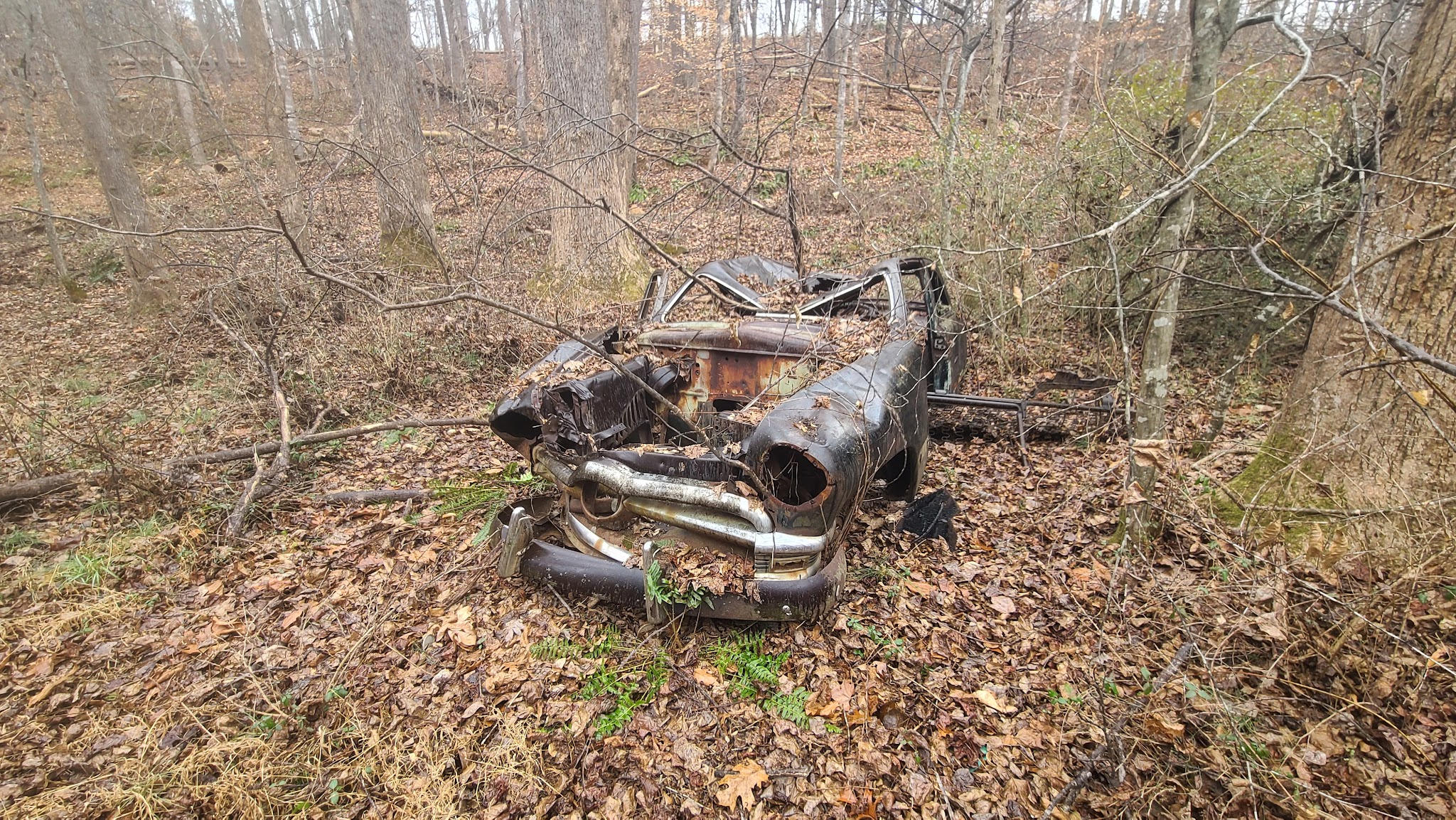 Biscuit Run Park - Charlottesville, VA