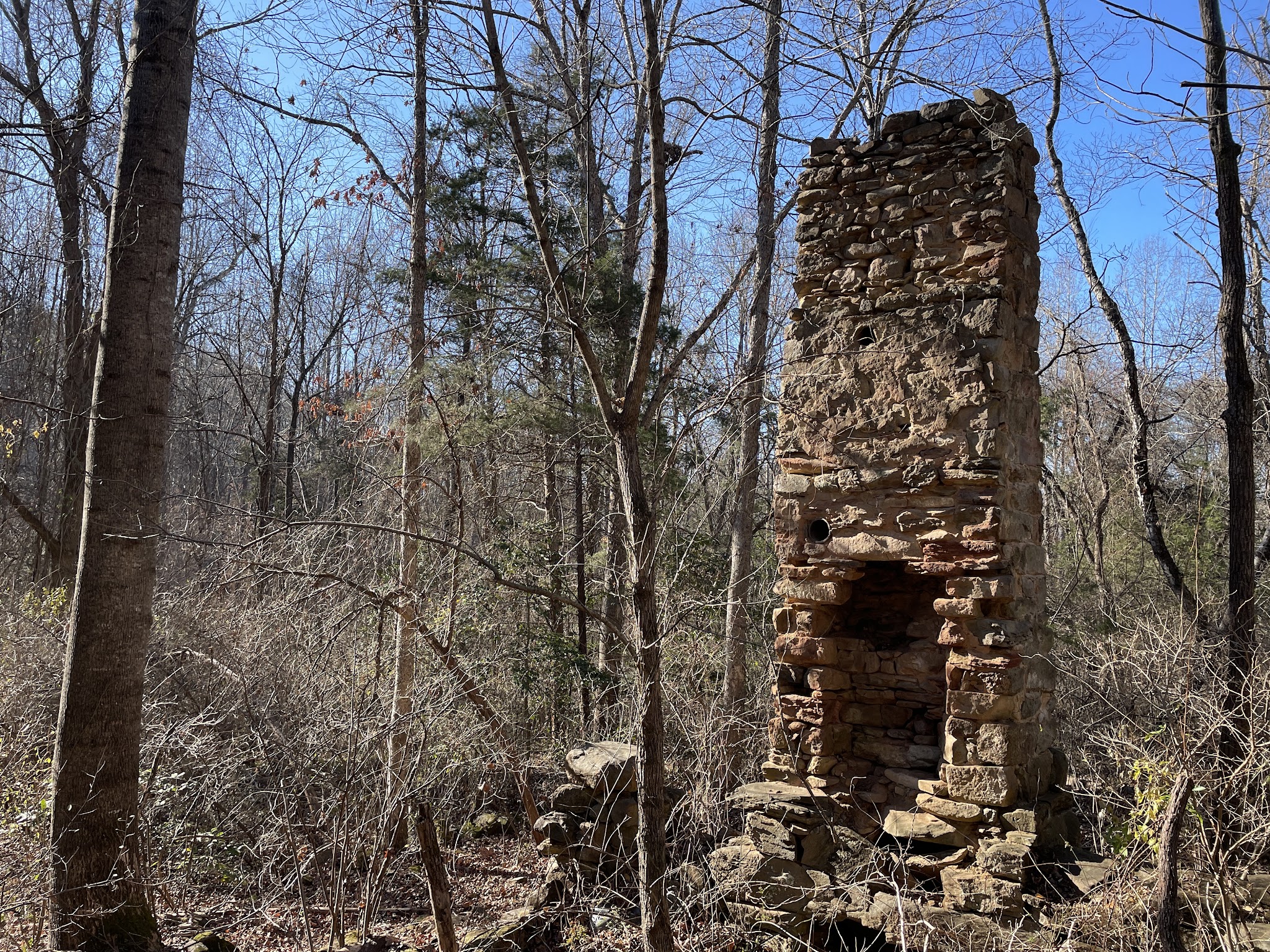 Biscuit Run Park - Charlottesville, VA
