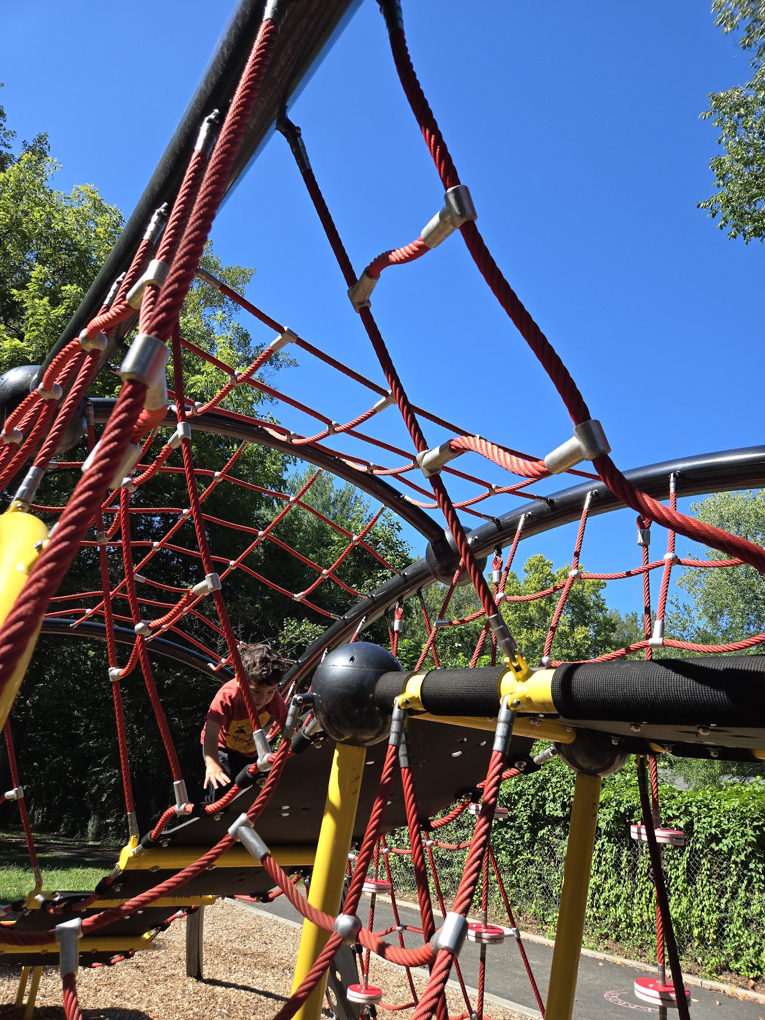 Northeast Park - Charlottesville, VA