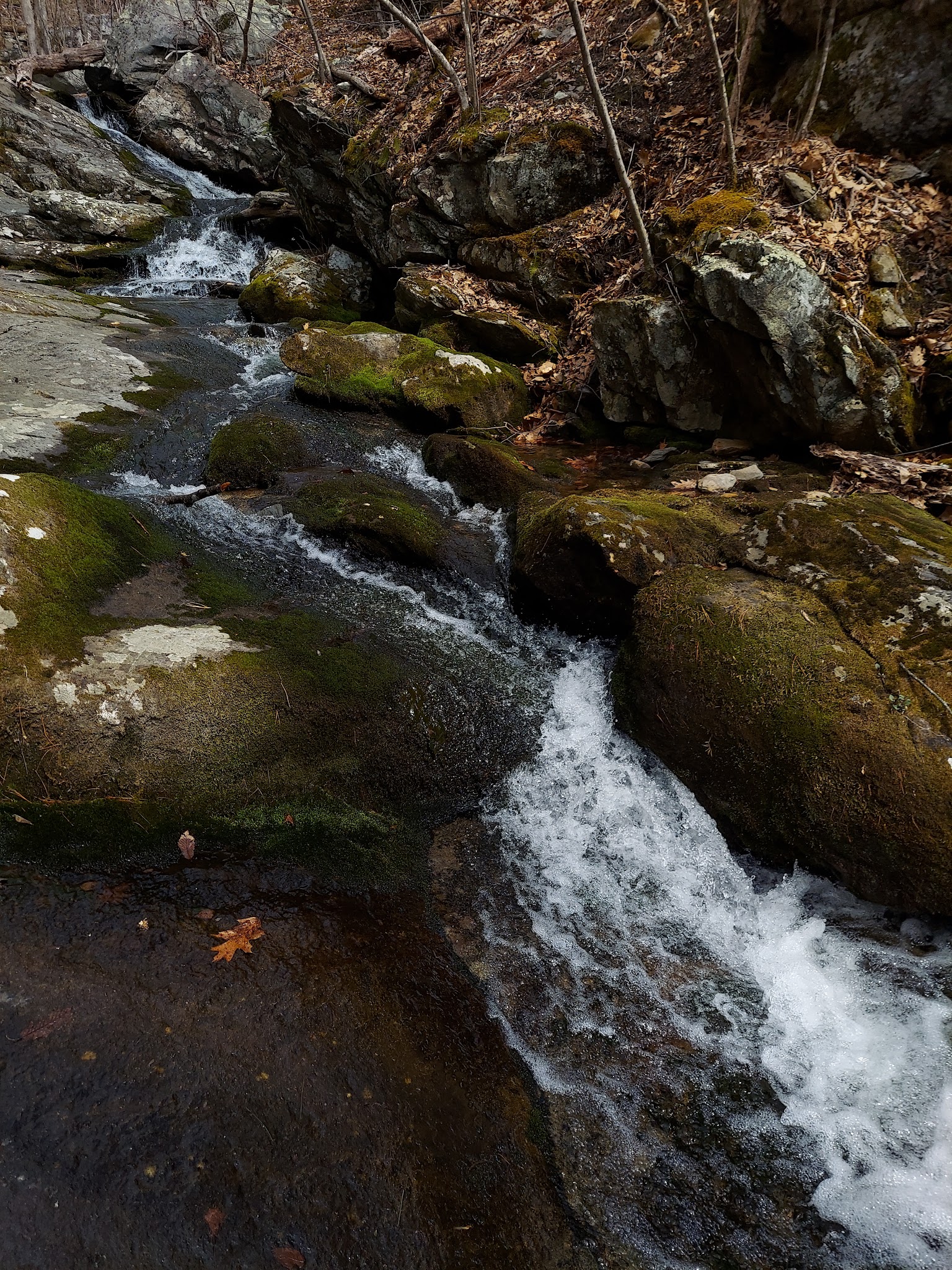 Rives Park - Charlottesville, VA