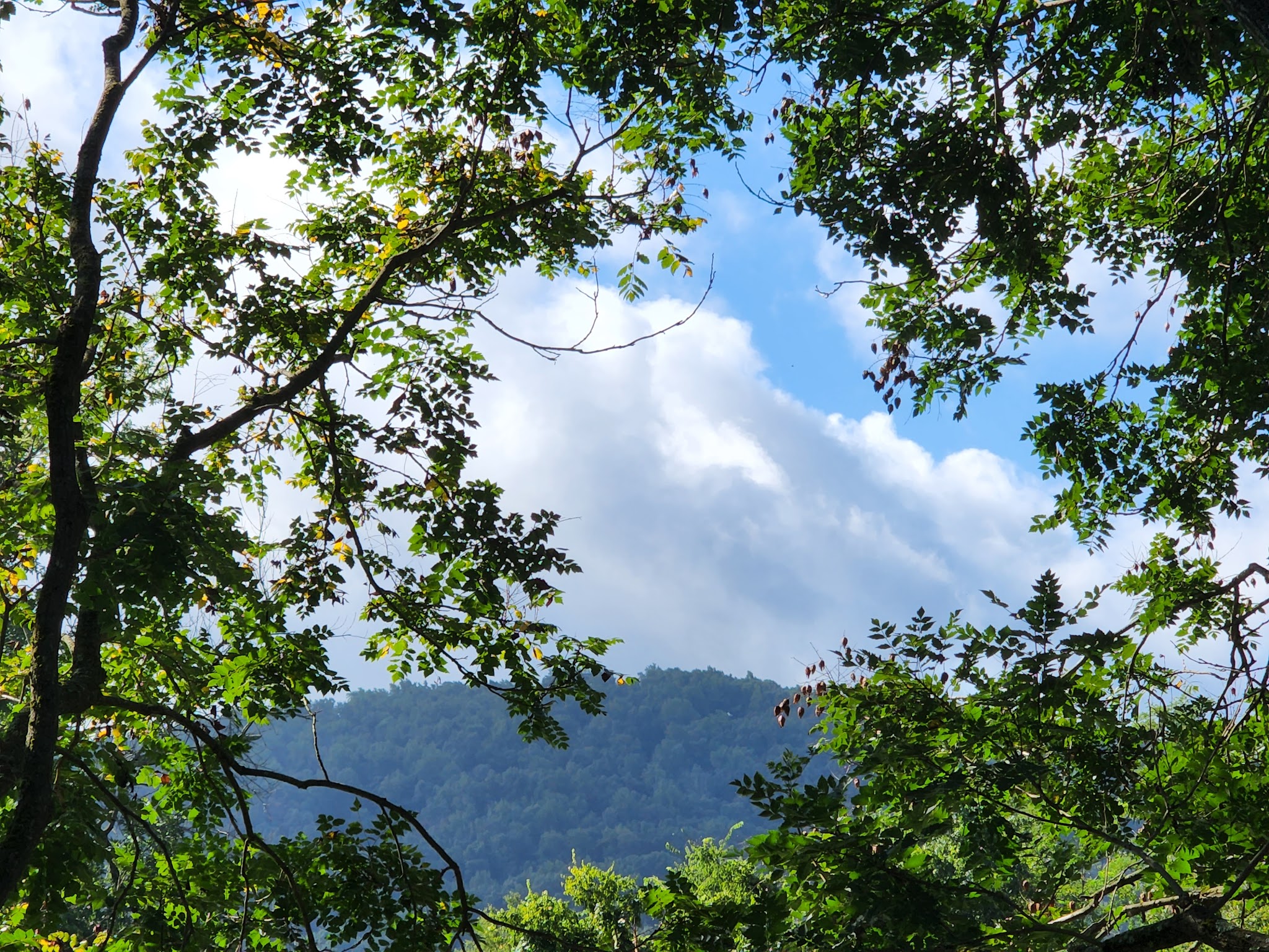 Rives Park - Charlottesville, VA