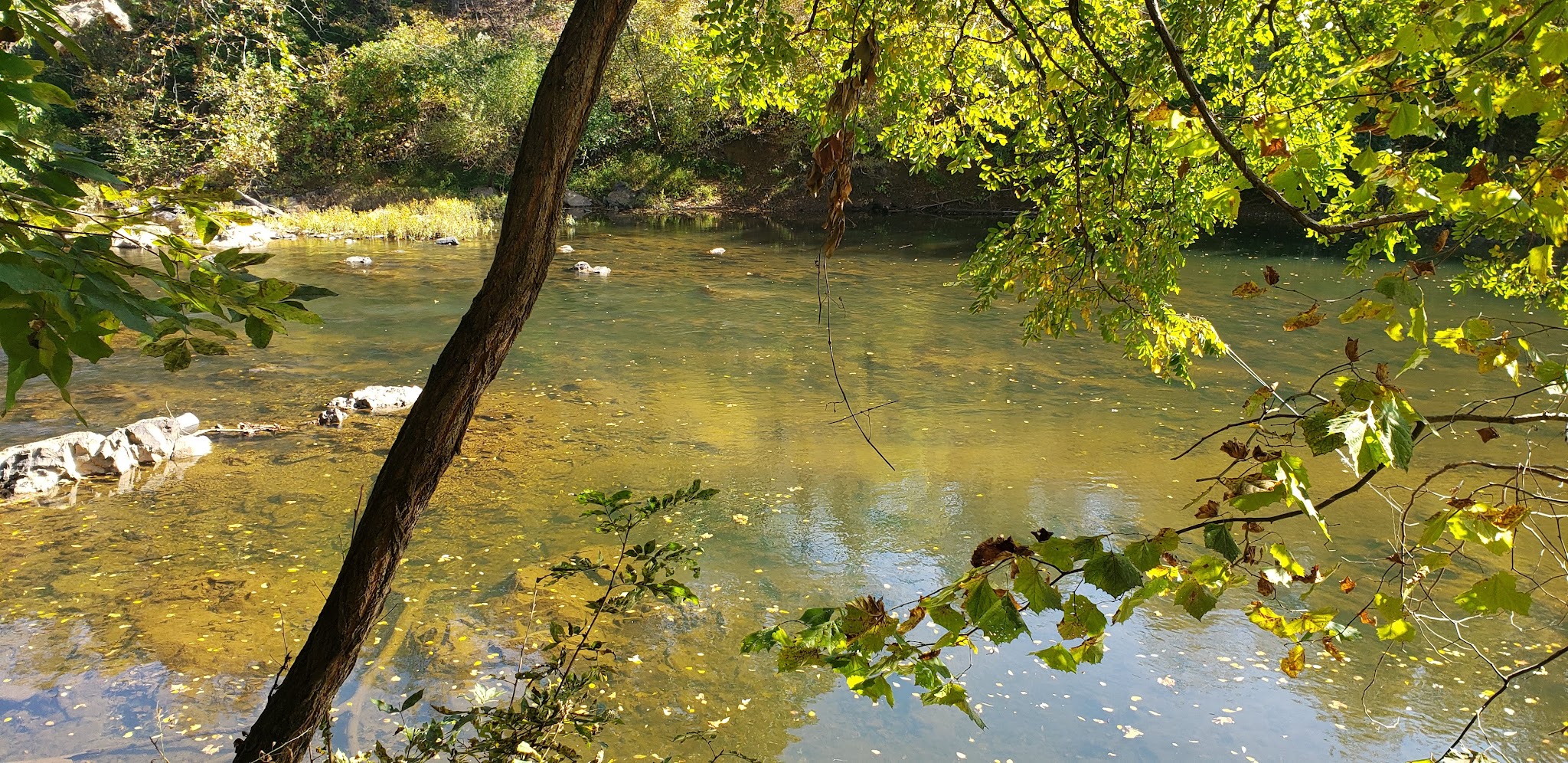 Rives Park - Charlottesville, VA