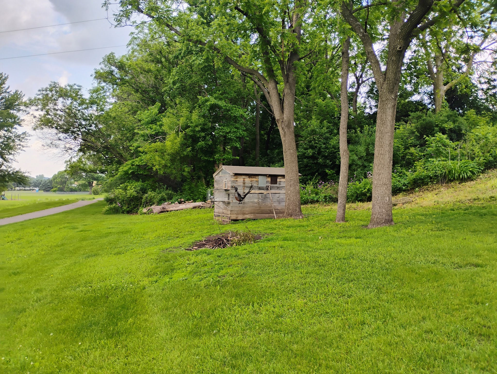Mill Creek Park - Chatfield, MN