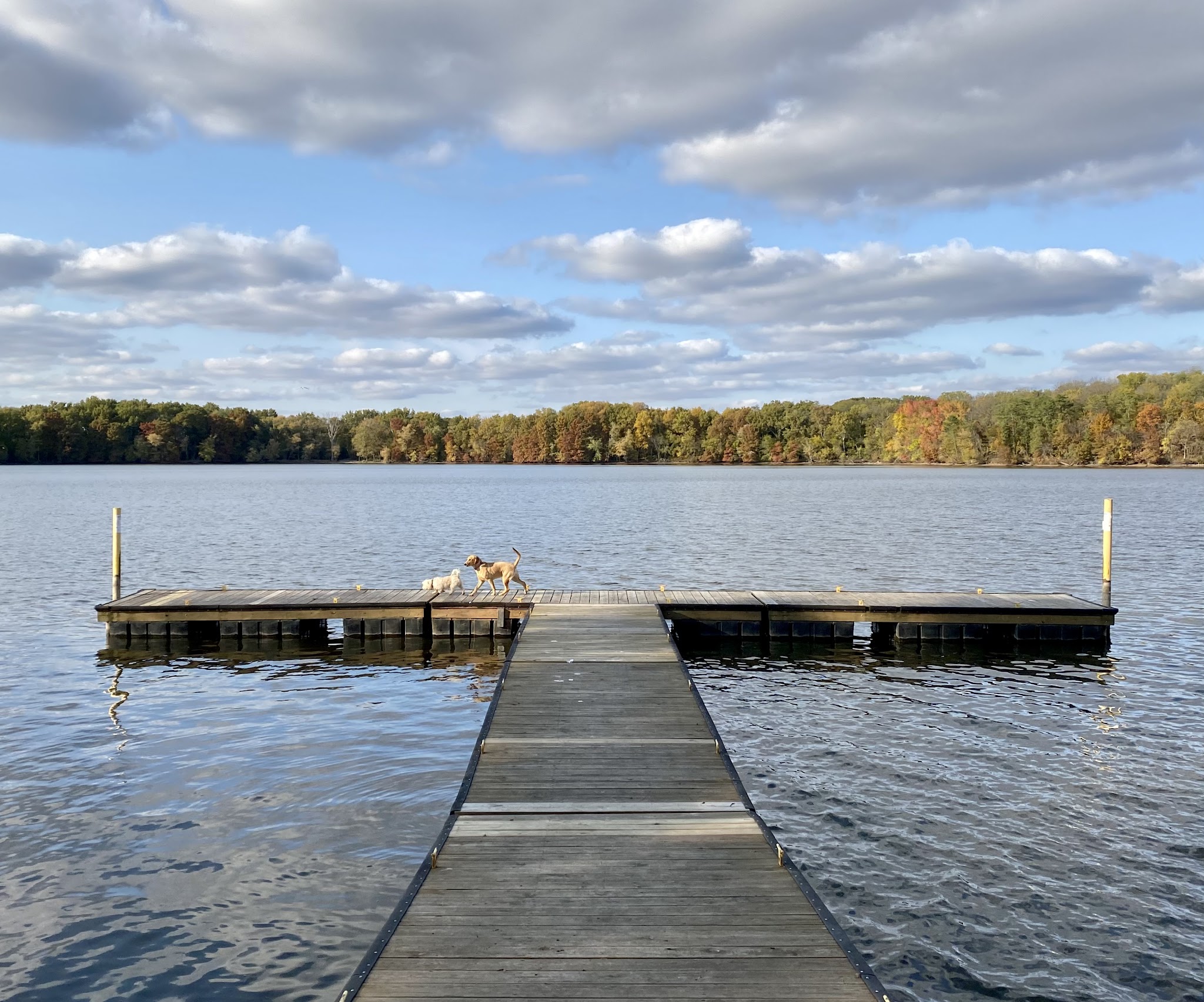 Bridgeview Park - Chatham, IL