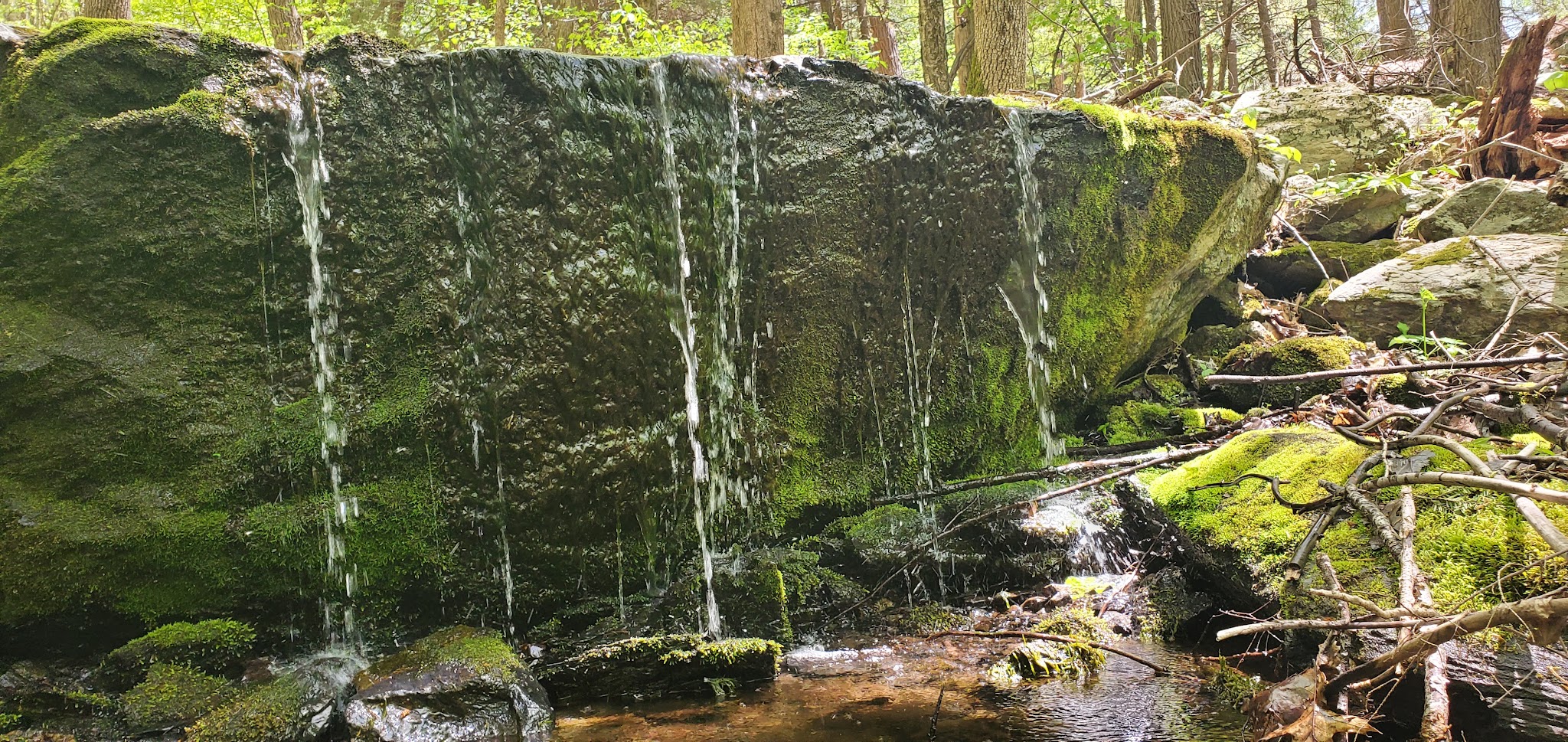 Harris - Chatham, NY