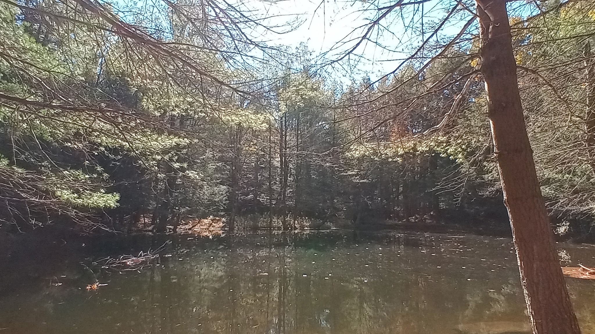 Harris - Chatham, NY