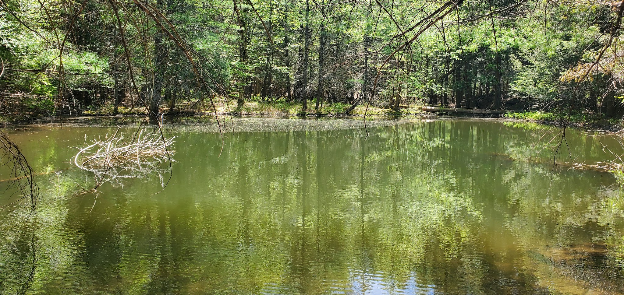 Harris - Chatham, NY