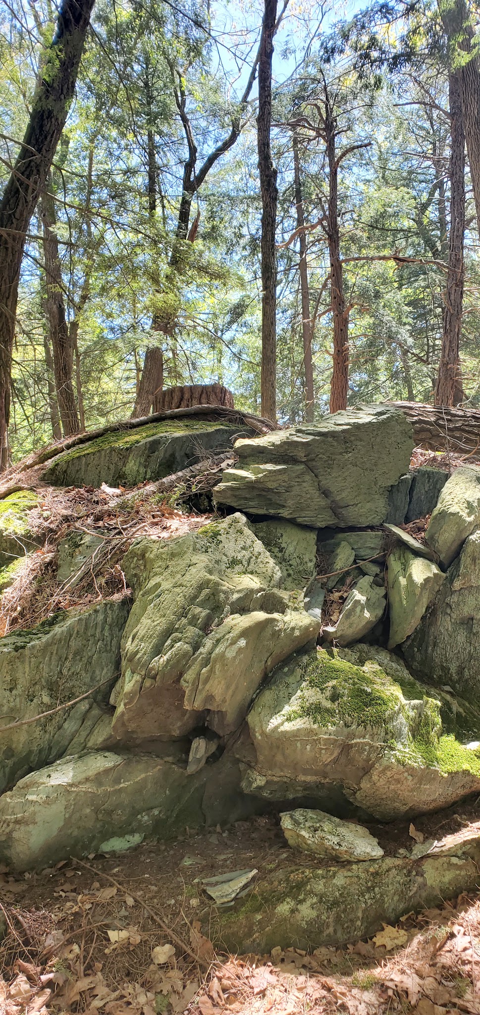 Harris - Chatham, NY