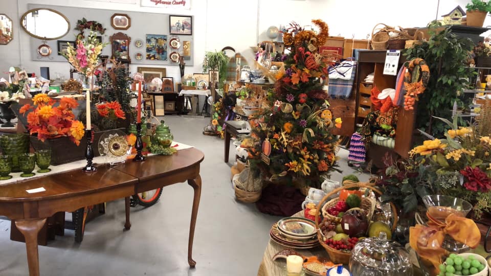 Doggie Bag Thrift Store - Chatham, VA