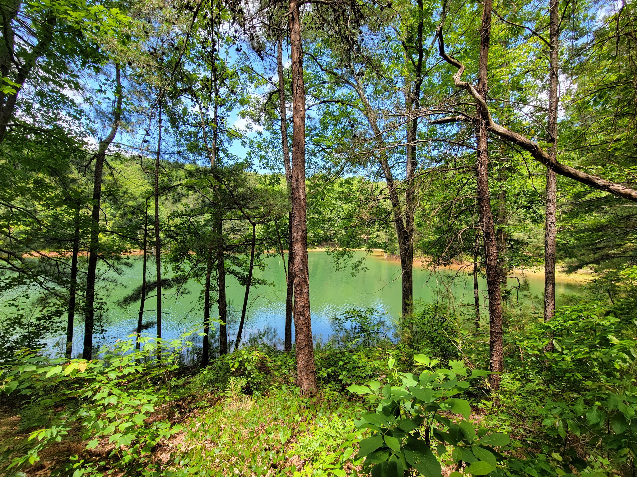 Amadahy - Chatsworth, GA