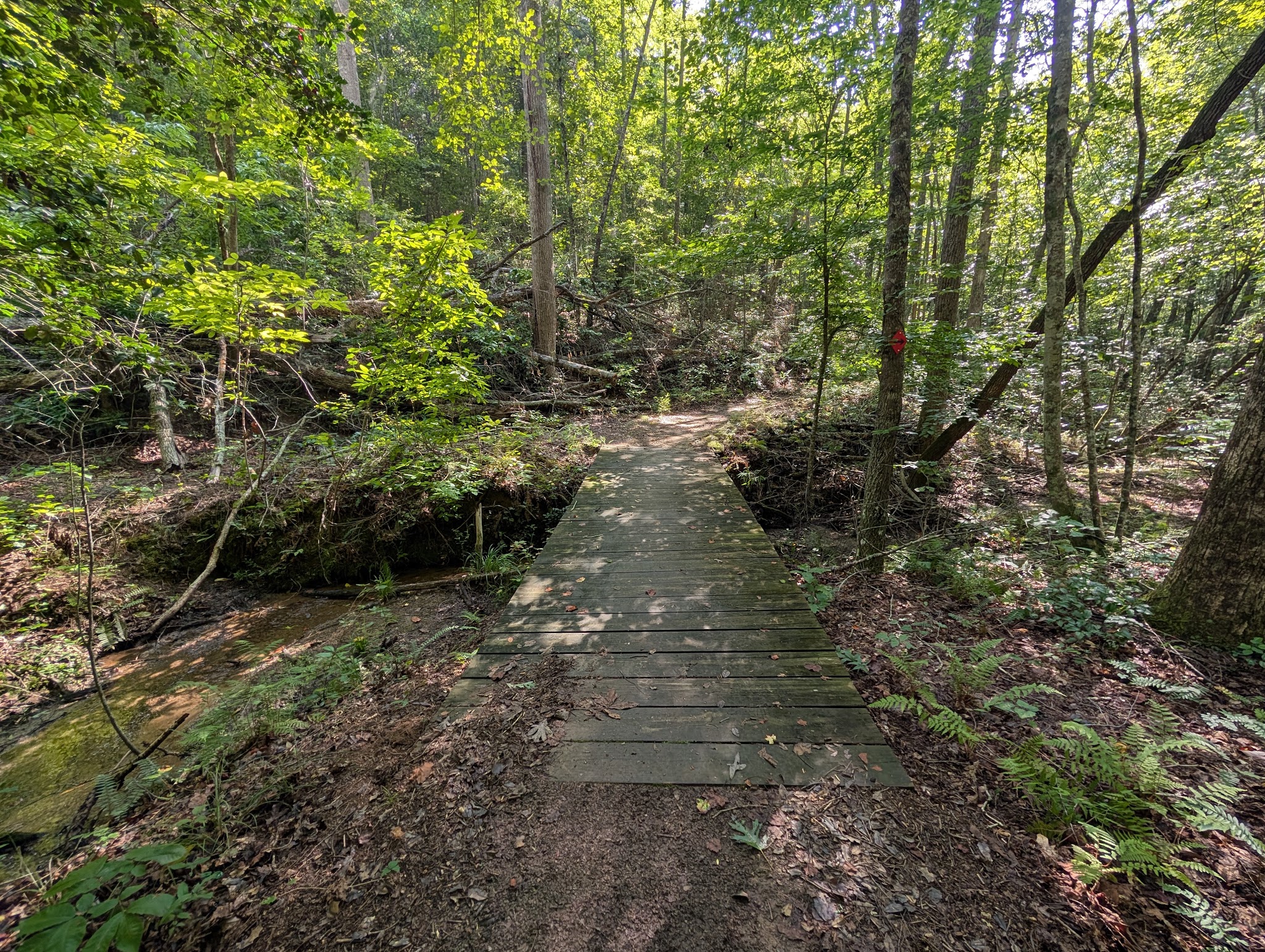 Amadahy - Chatsworth, GA