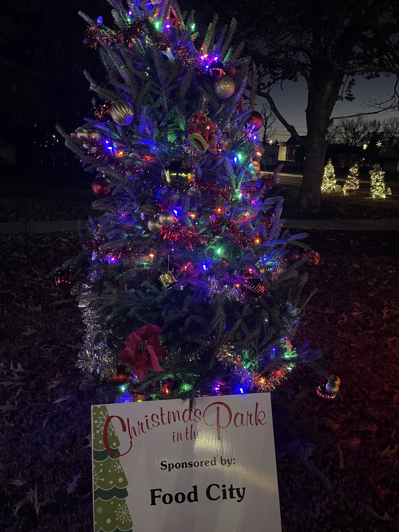 Chatsworth City Park - Chatsworth, GA