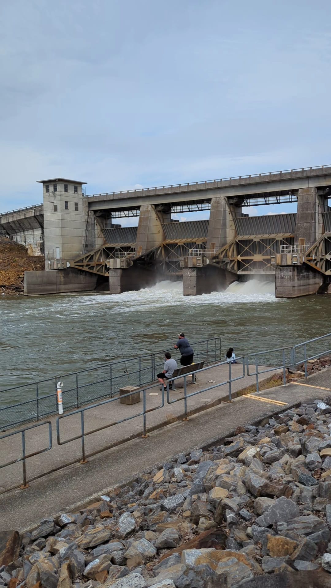 Hidden Pond Trail Songbird Management Area - Chatsworth, GA