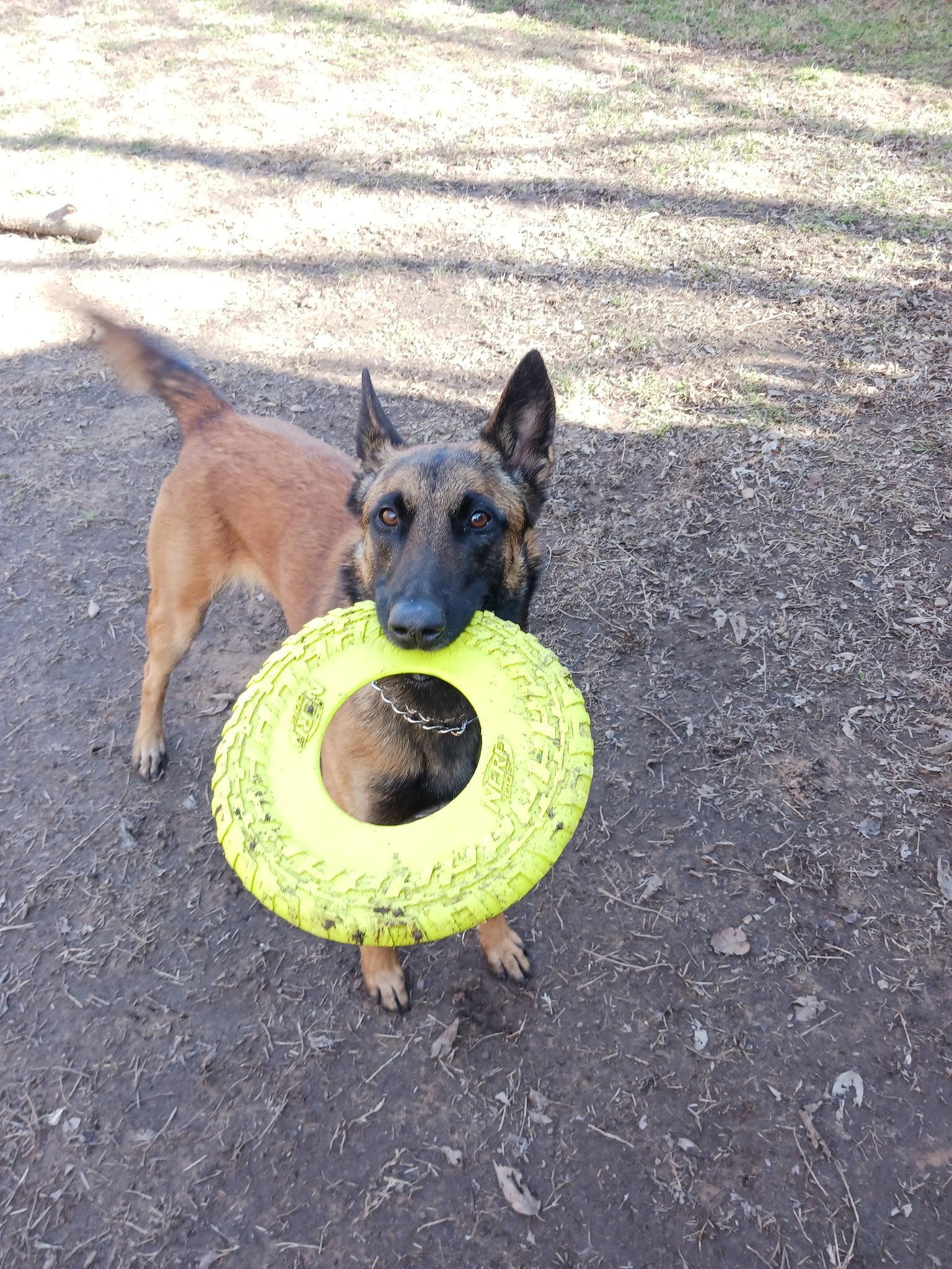 Checotah Bark Resort - Checotah, OK