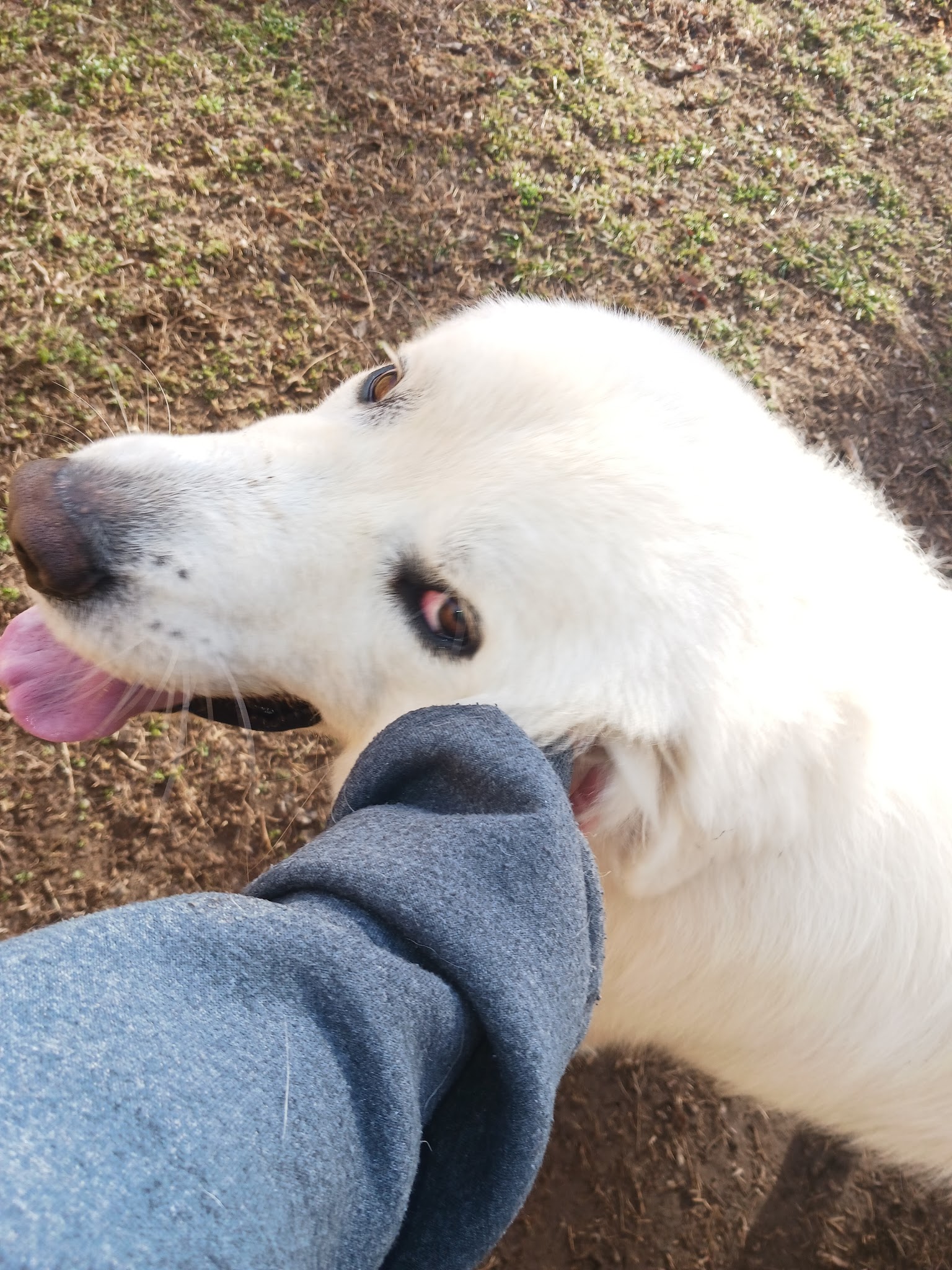 Checotah Bark Resort - Checotah, OK