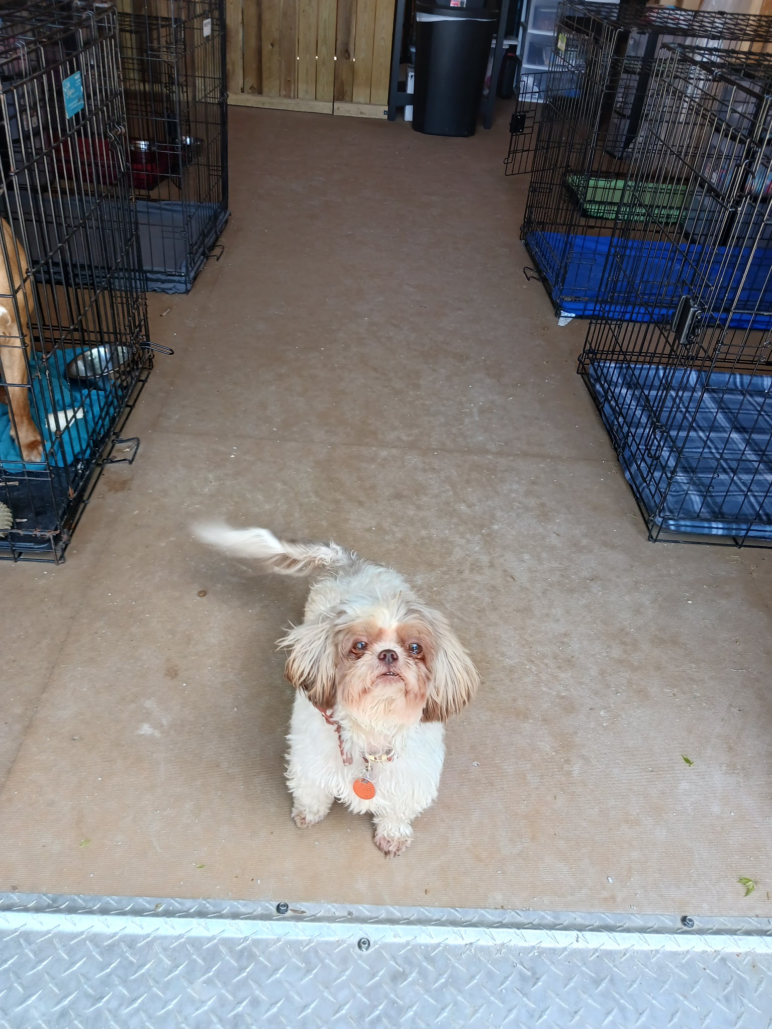 Checotah Bark Resort - Checotah, OK