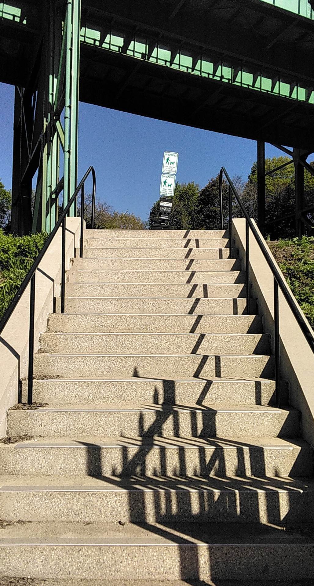 Mystic Dog Park & Outdoor Gym - Chelsea, MA