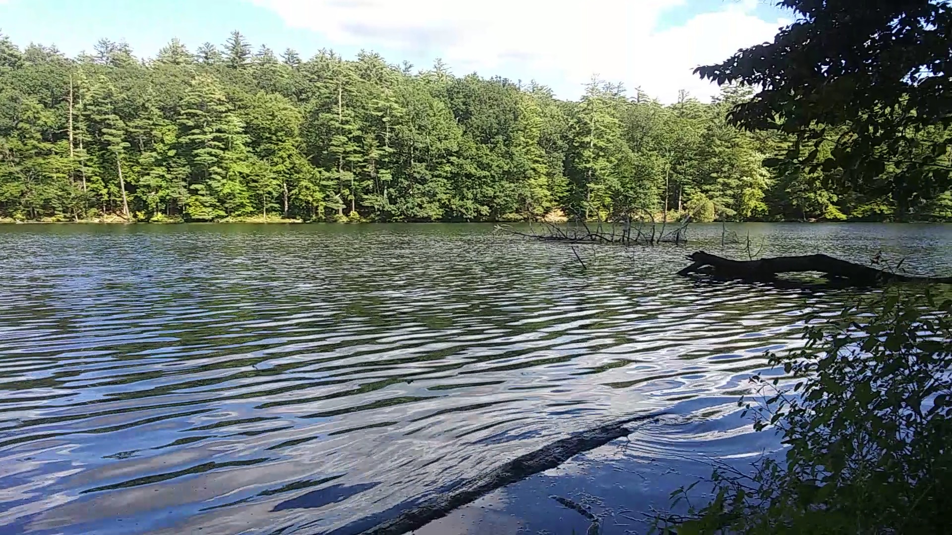 Chenango Valley State Park - Chenango Forks, NY