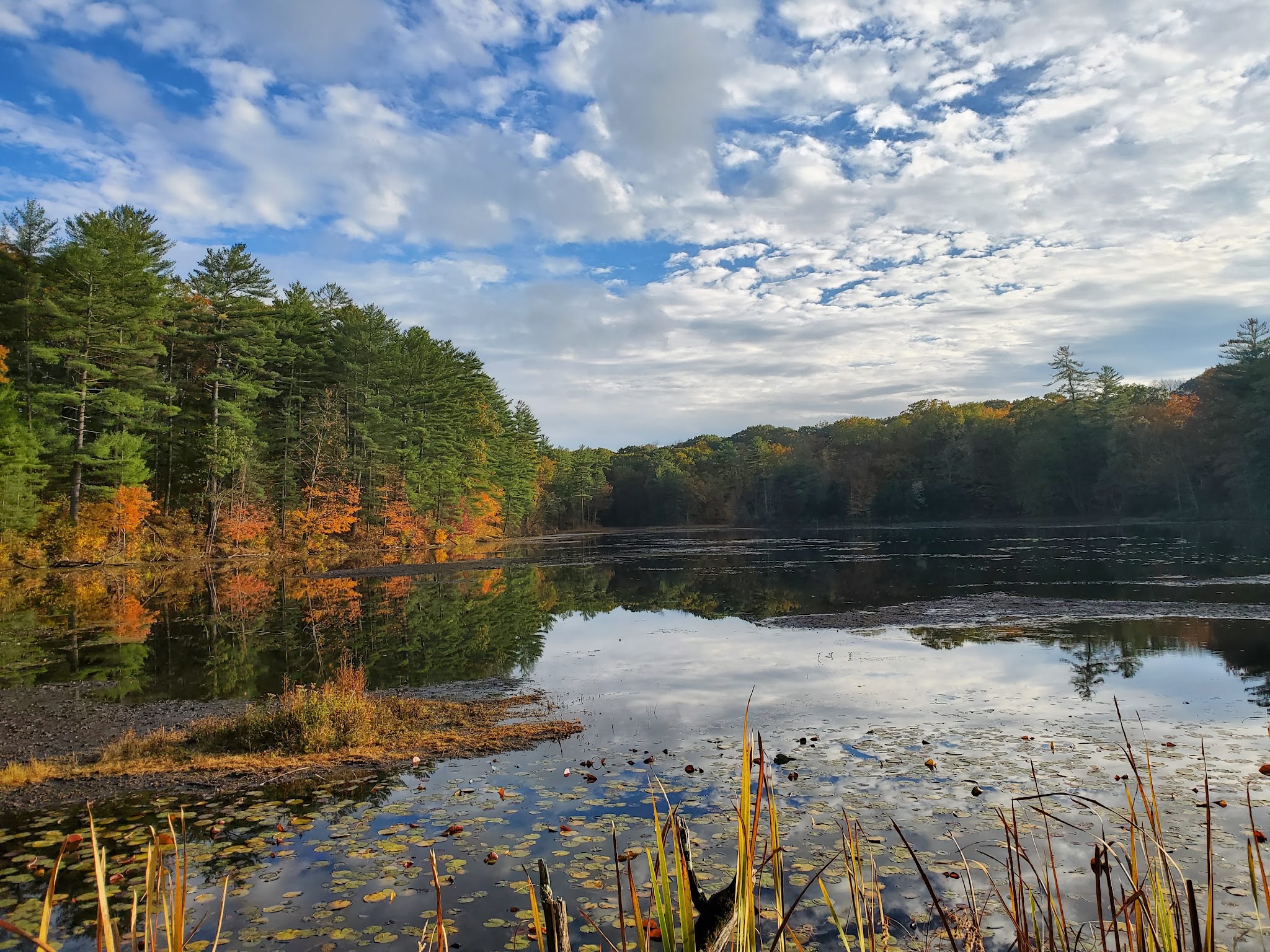 Chenango Valley State Park - Chenango Forks, NY