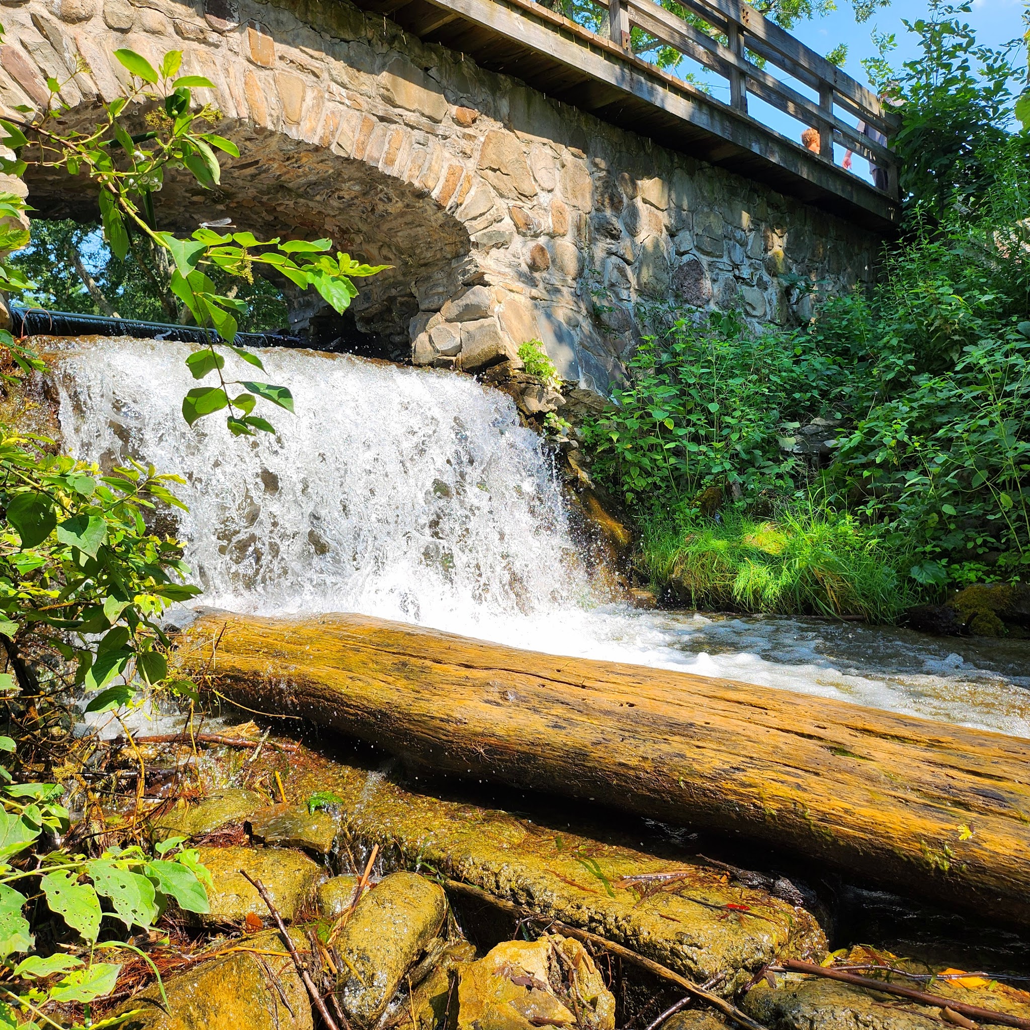 Chenango Valley State Park - Chenango Forks, NY