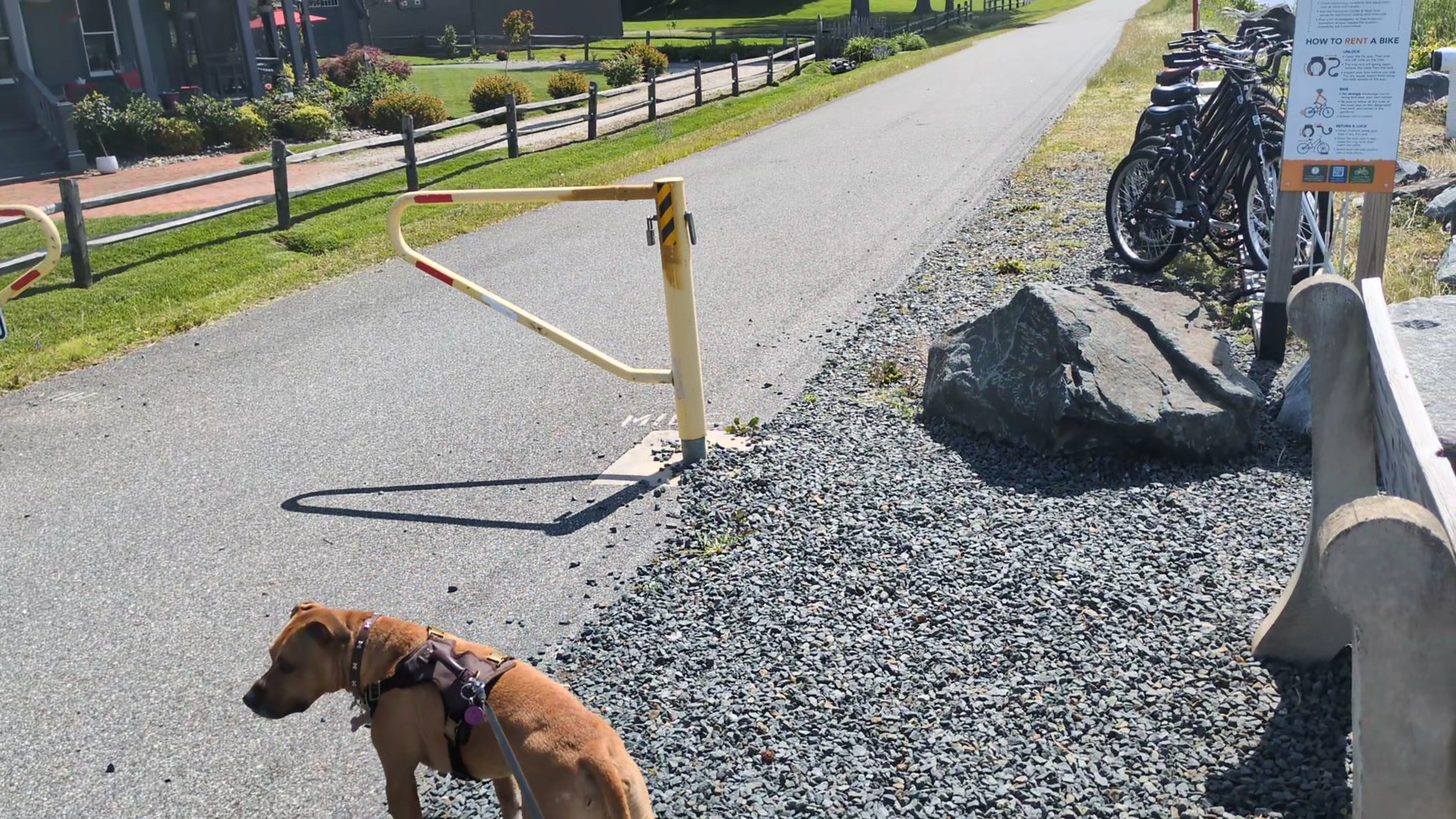 Ben Cardin C&D Canal Trail - Chesapeake City, MD