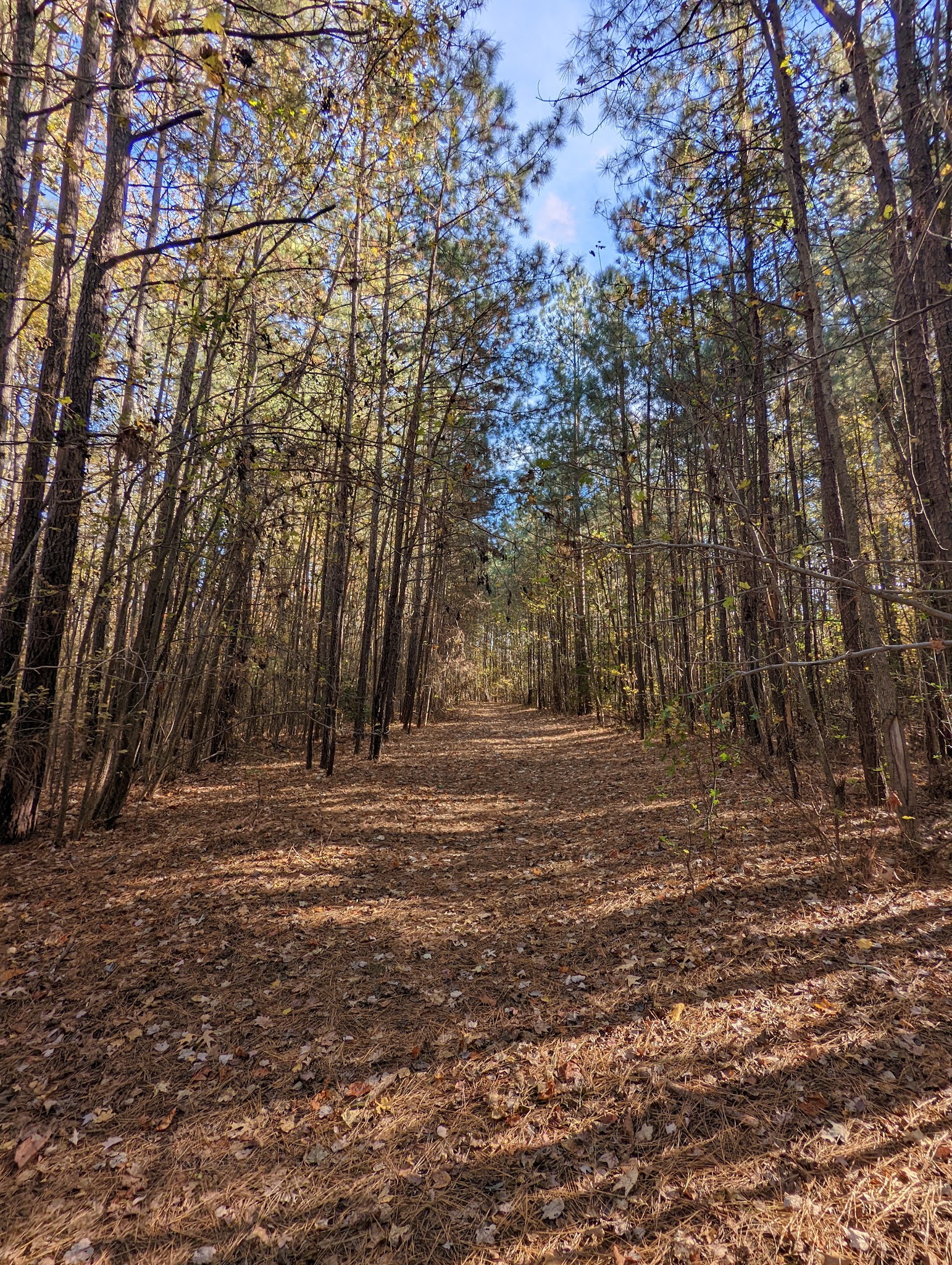 Creekwood South Park - Chesapeake, VA