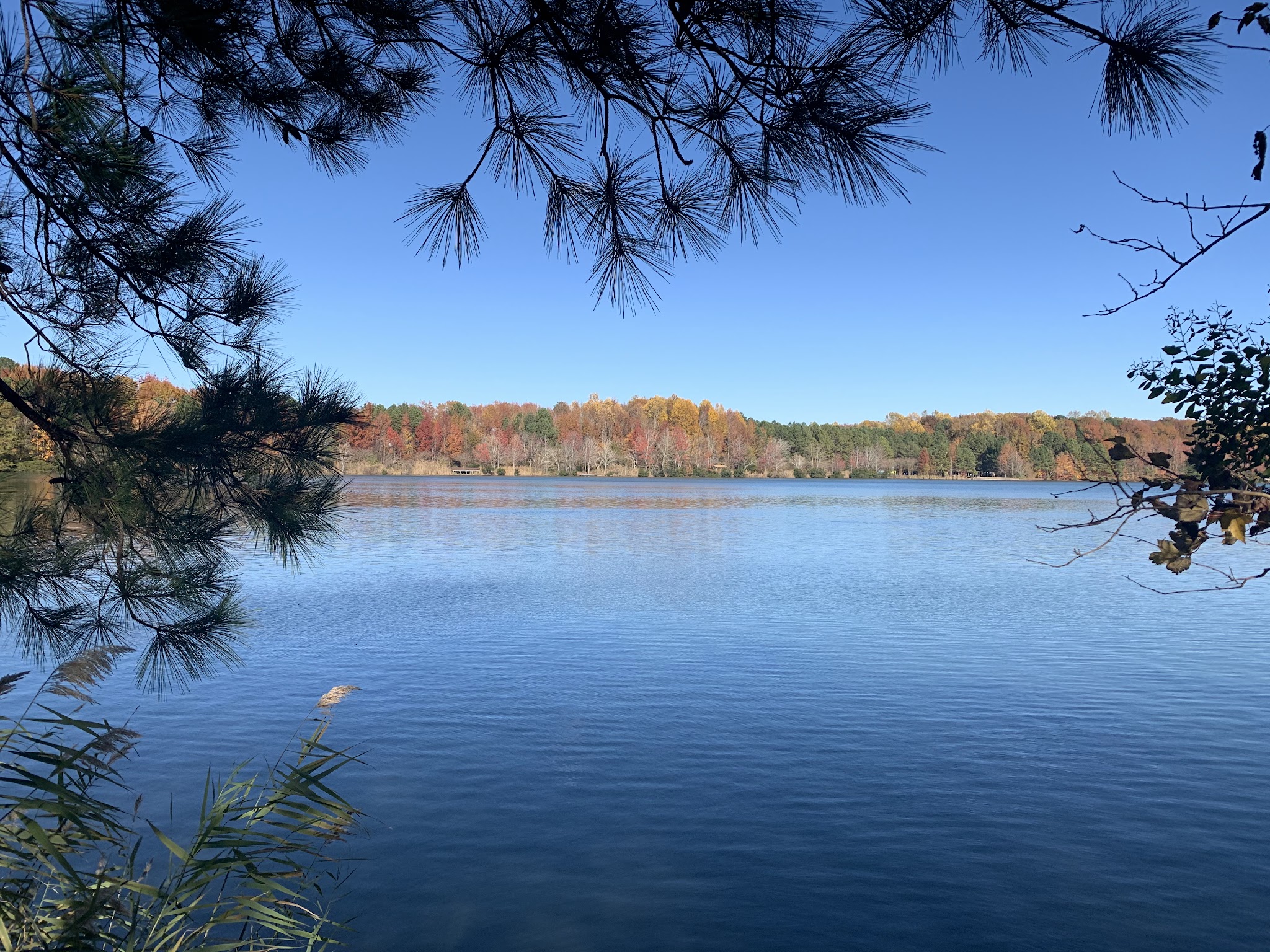 Oak Grove Lake Park - Chesapeake, VA