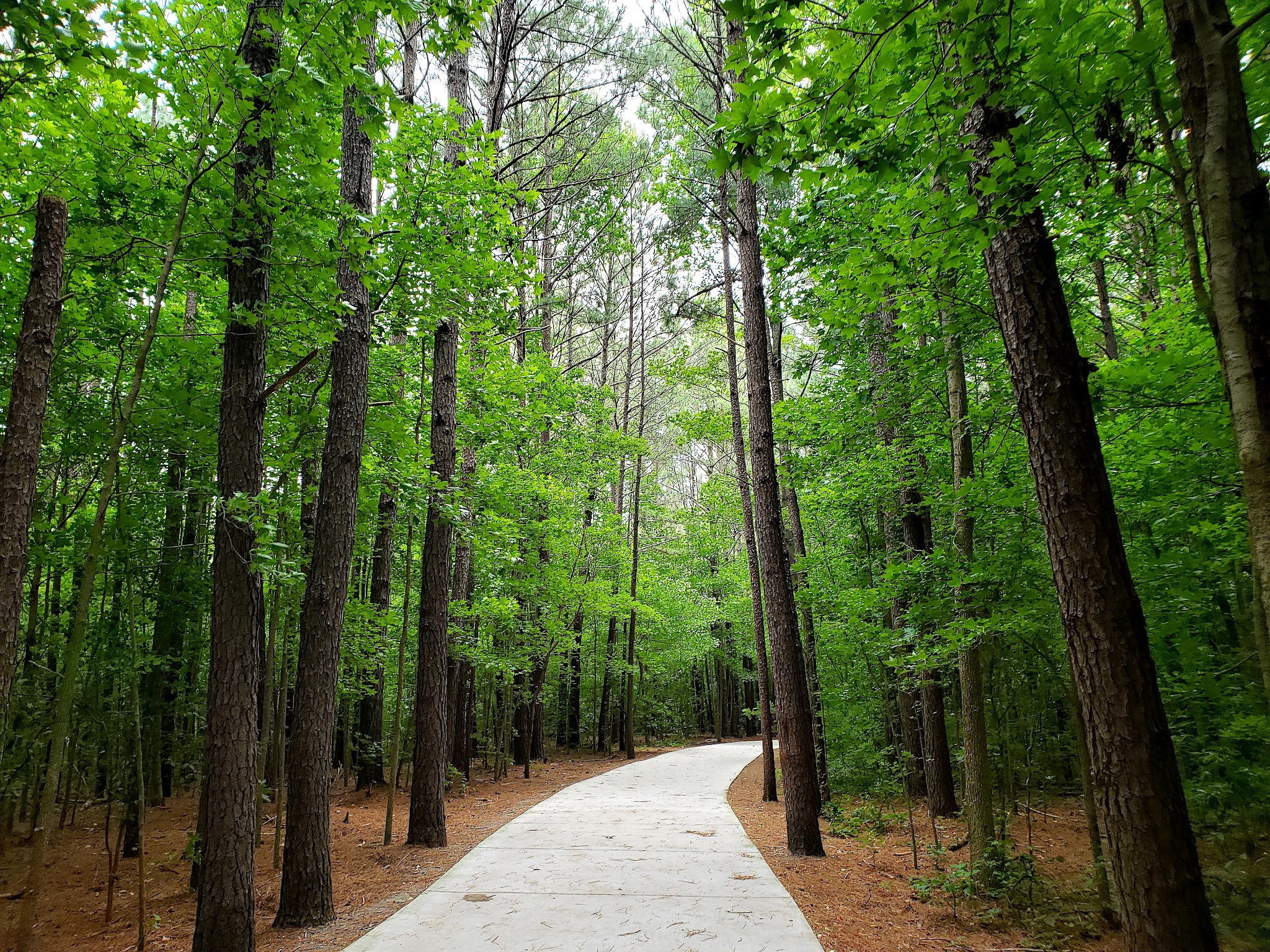 Oak Grove Lake Park - Chesapeake, VA