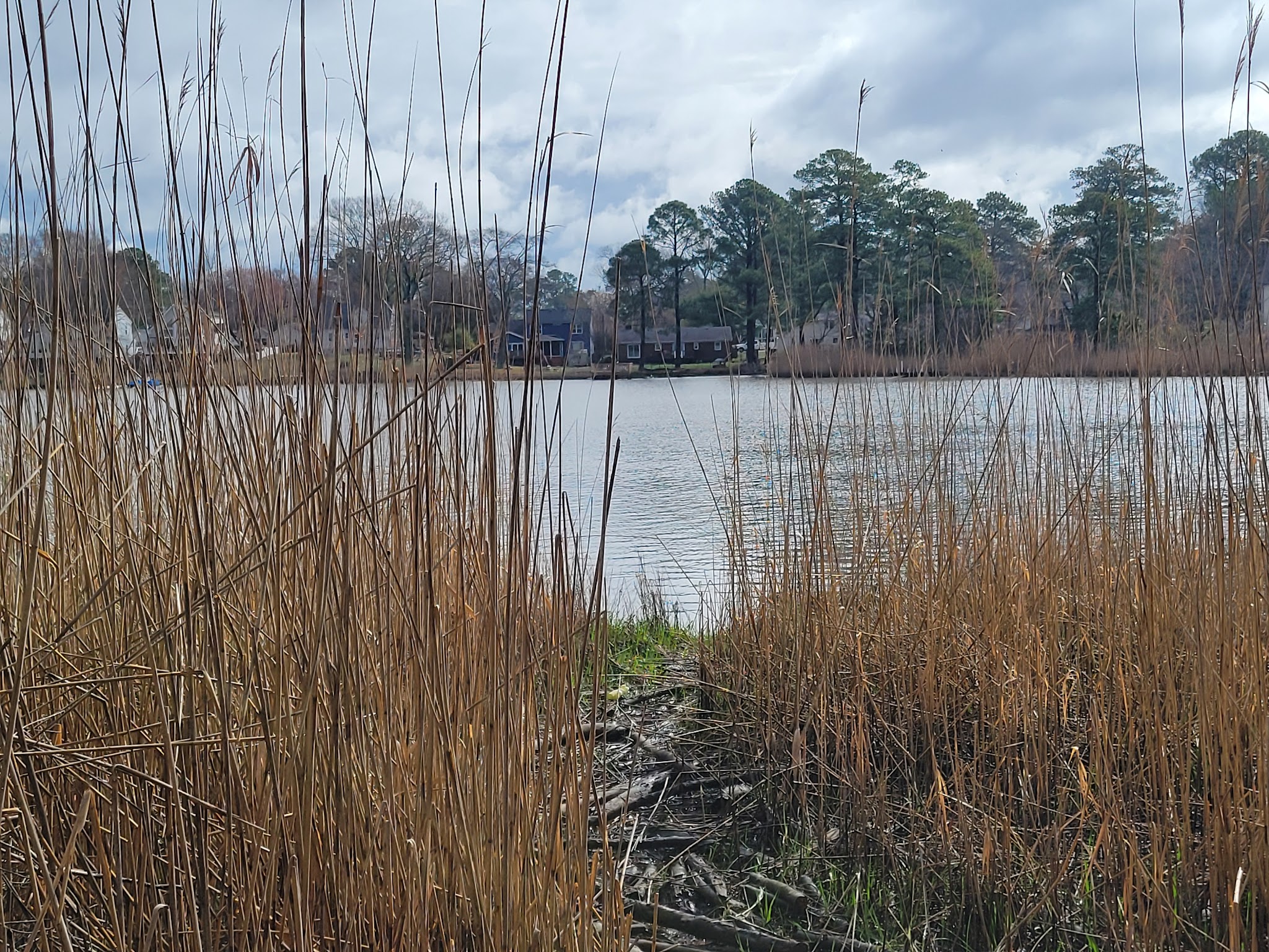 Plymouth Park - Chesapeake, VA