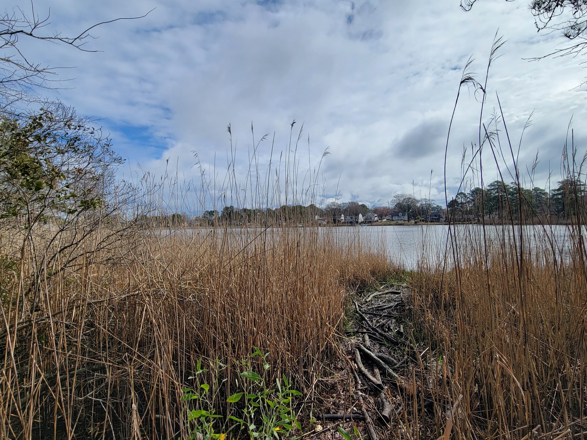 Plymouth Park - Chesapeake, VA