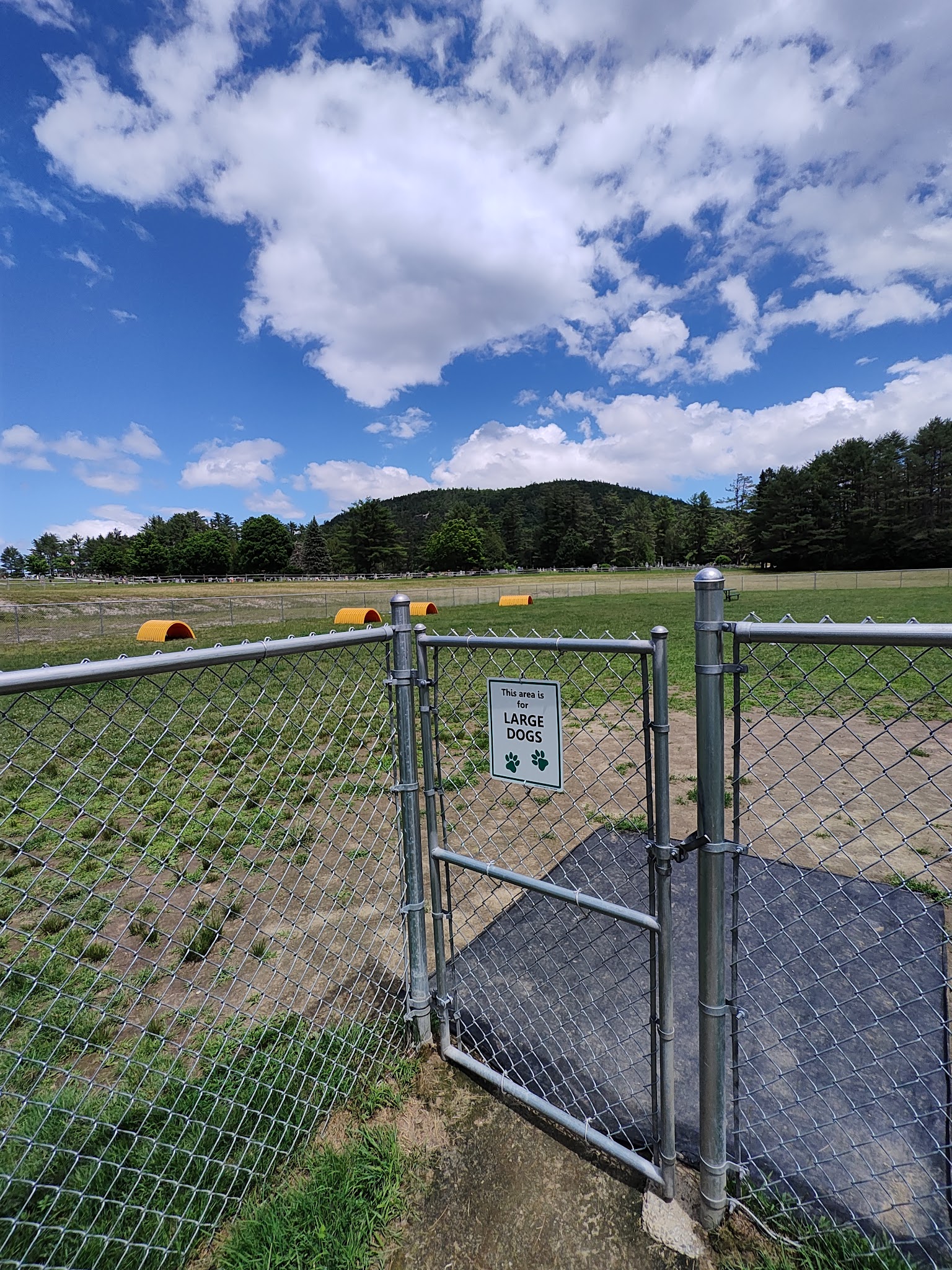 Chestertown Dog Park - Chestertown, NY