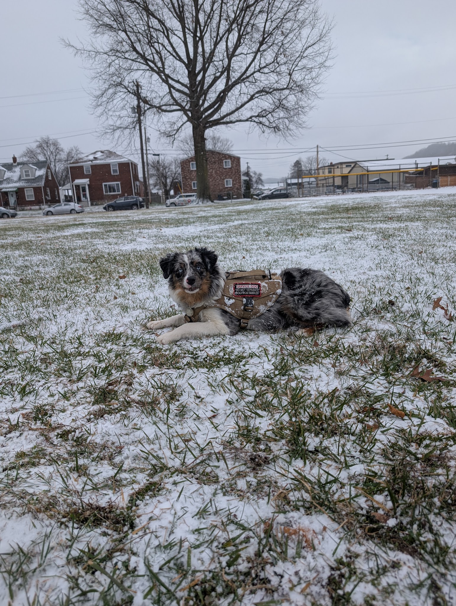 Acme Park - Cheswick, PA