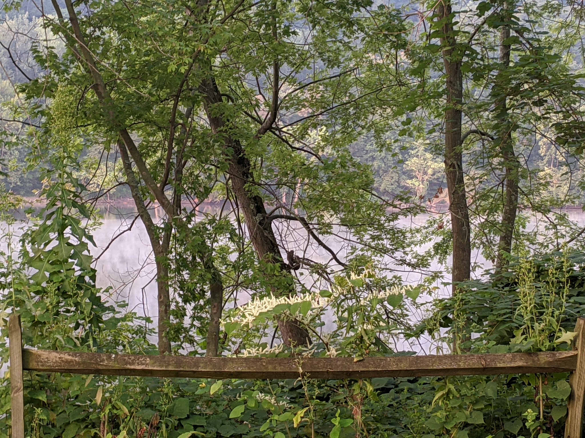 Rachel Carson Riverfront Park - Cheswick, PA