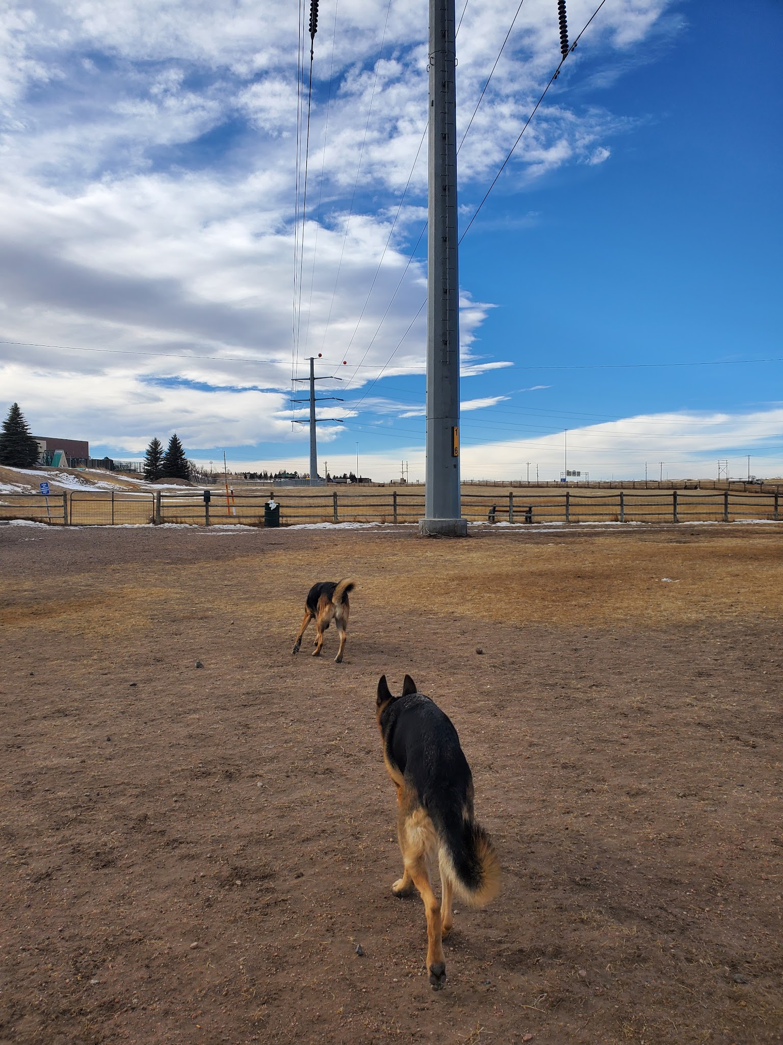 Dog Park at the Animal Shelter - Cheyenne, WY