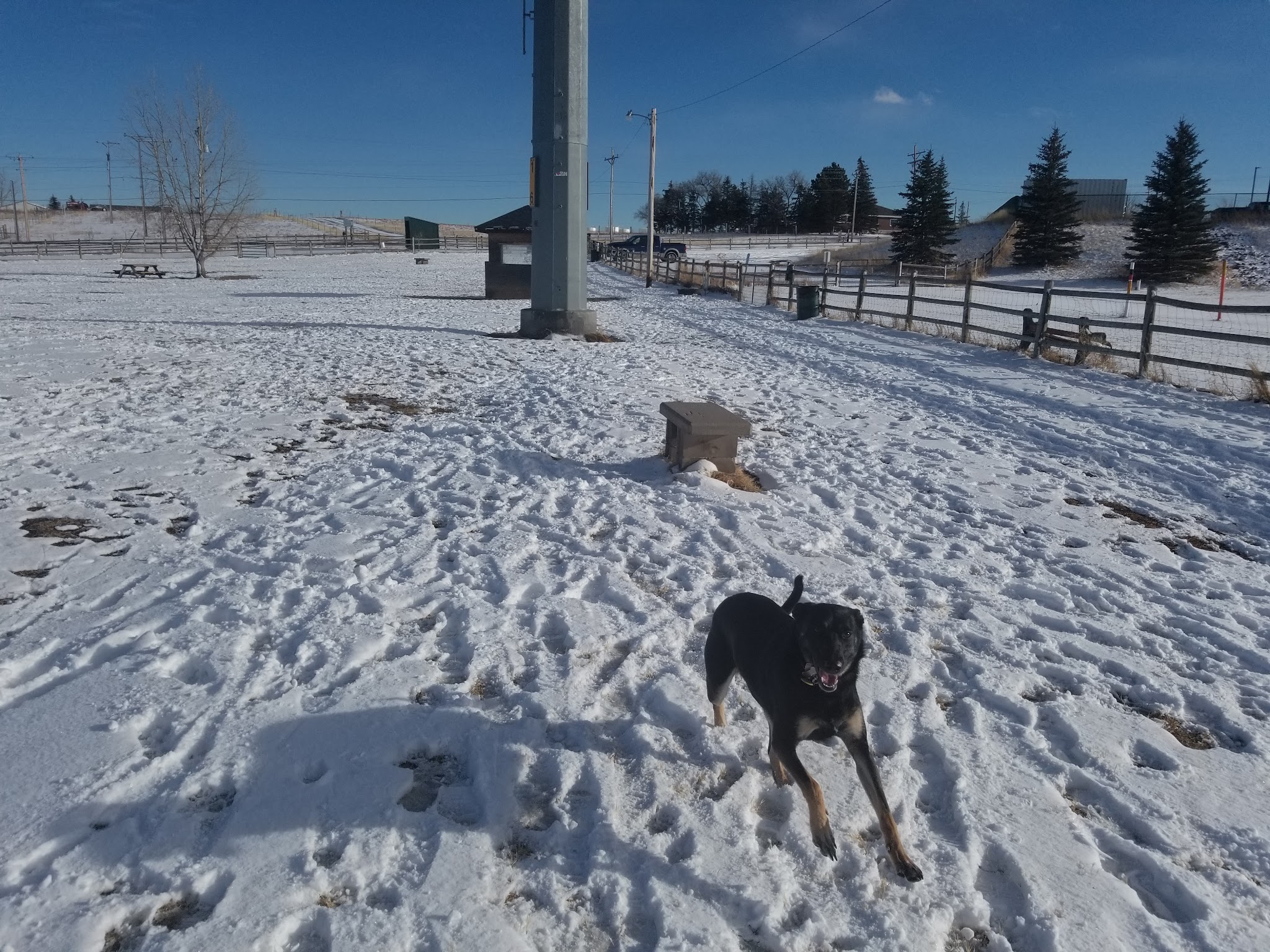 Dog Park at the Animal Shelter - Cheyenne, WY