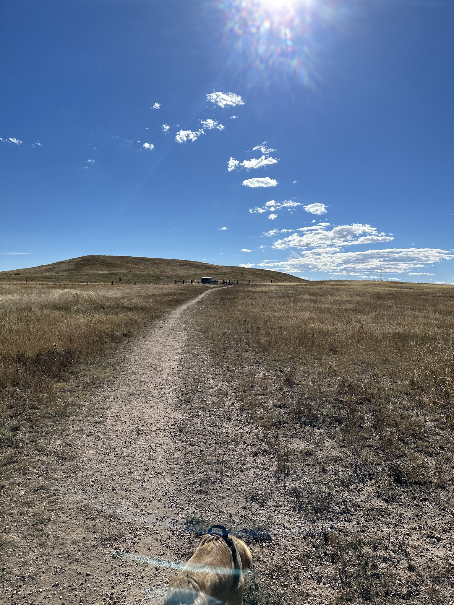 Let the dogs run dog park - Cheyenne, WY