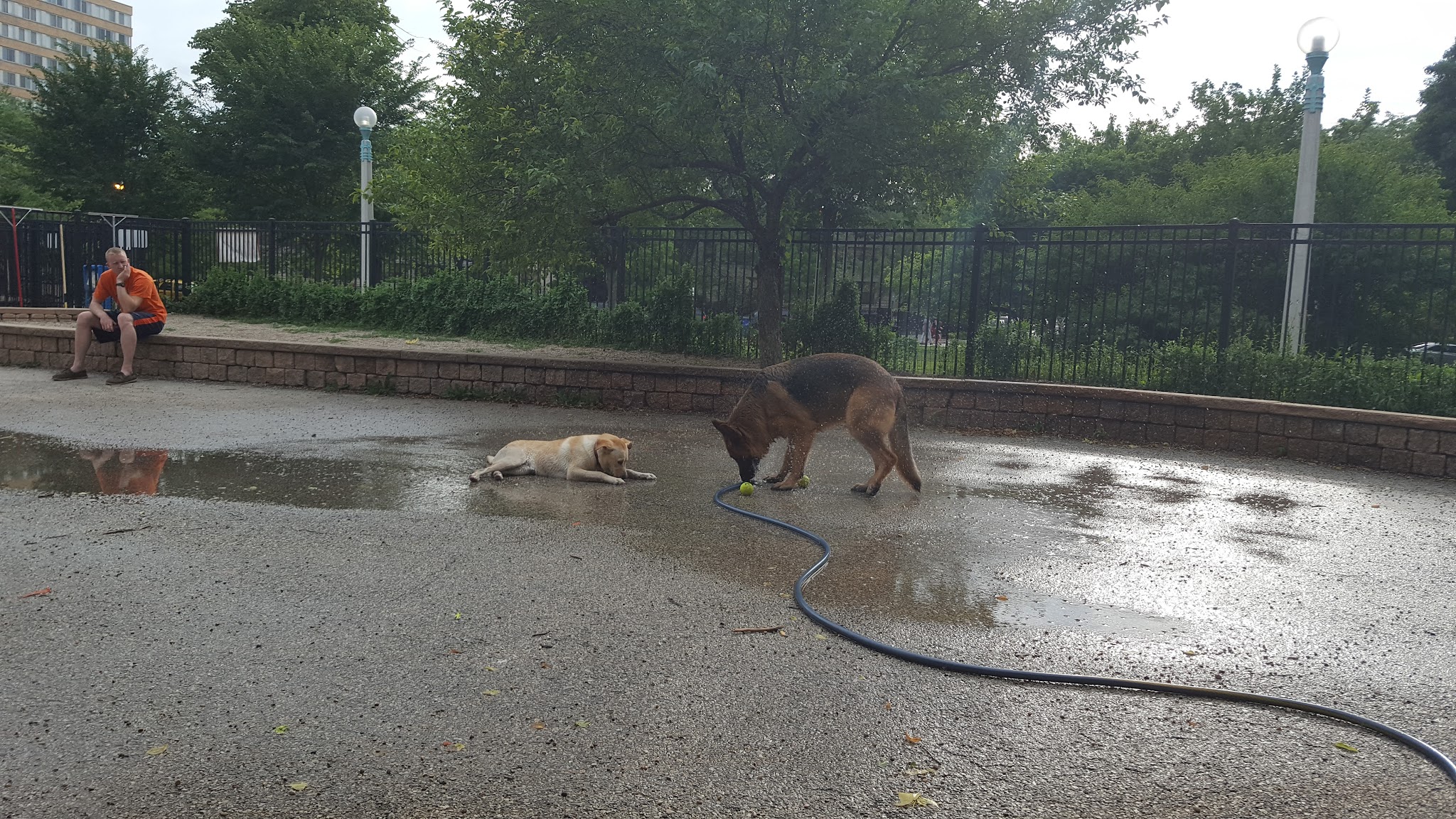 Margate Park Puptown Dog Park - Chicago, IL