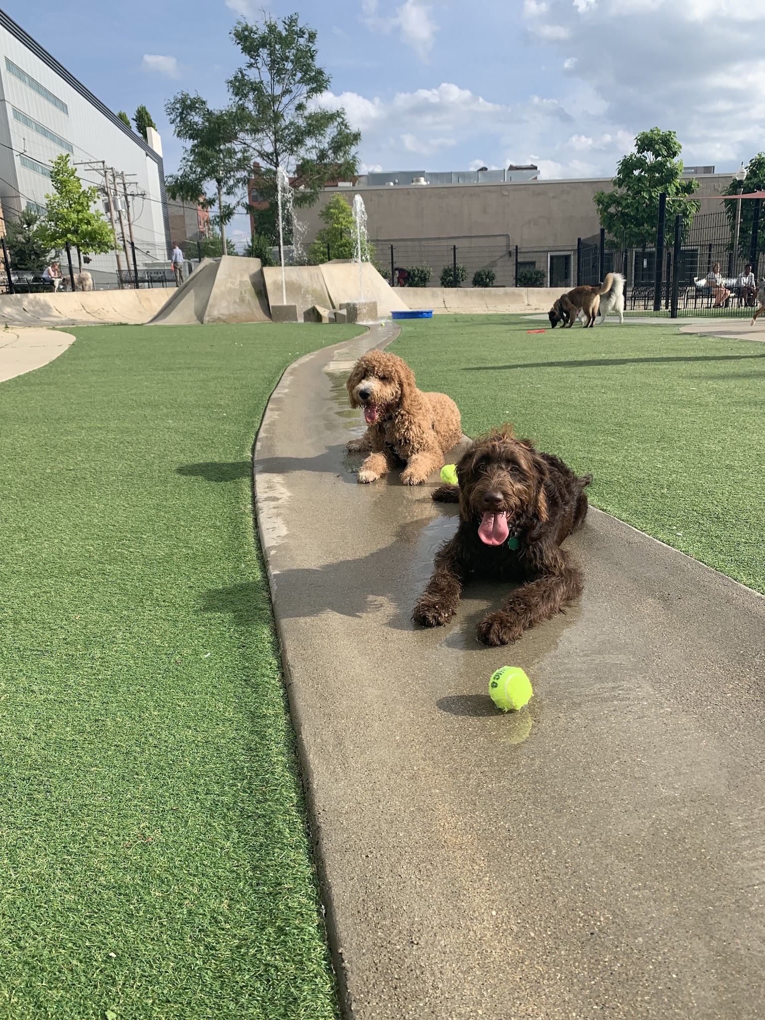 Anderson (Fred) Park - Chicago, IL