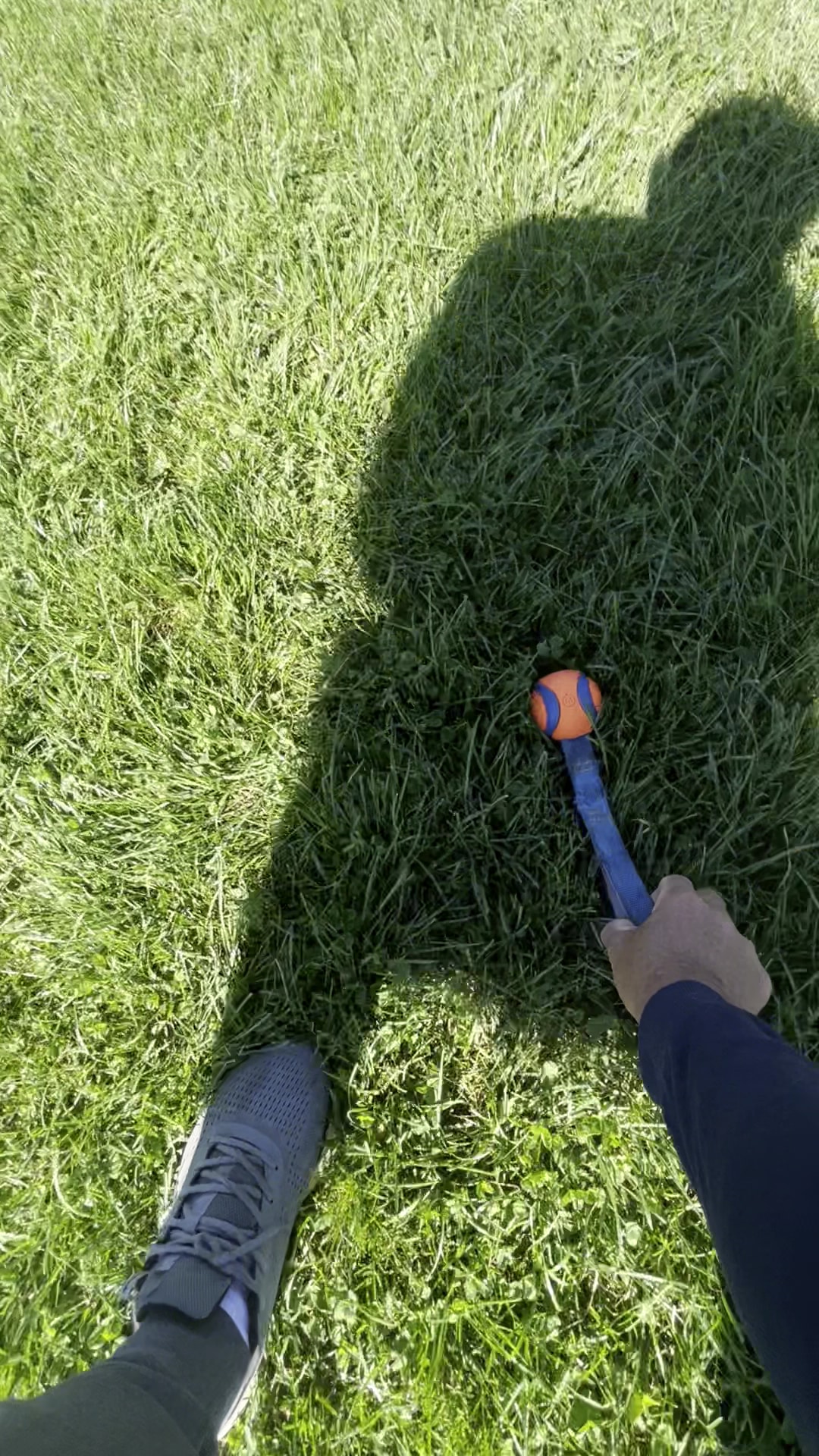 Austin Foster Park - Chicago, IL