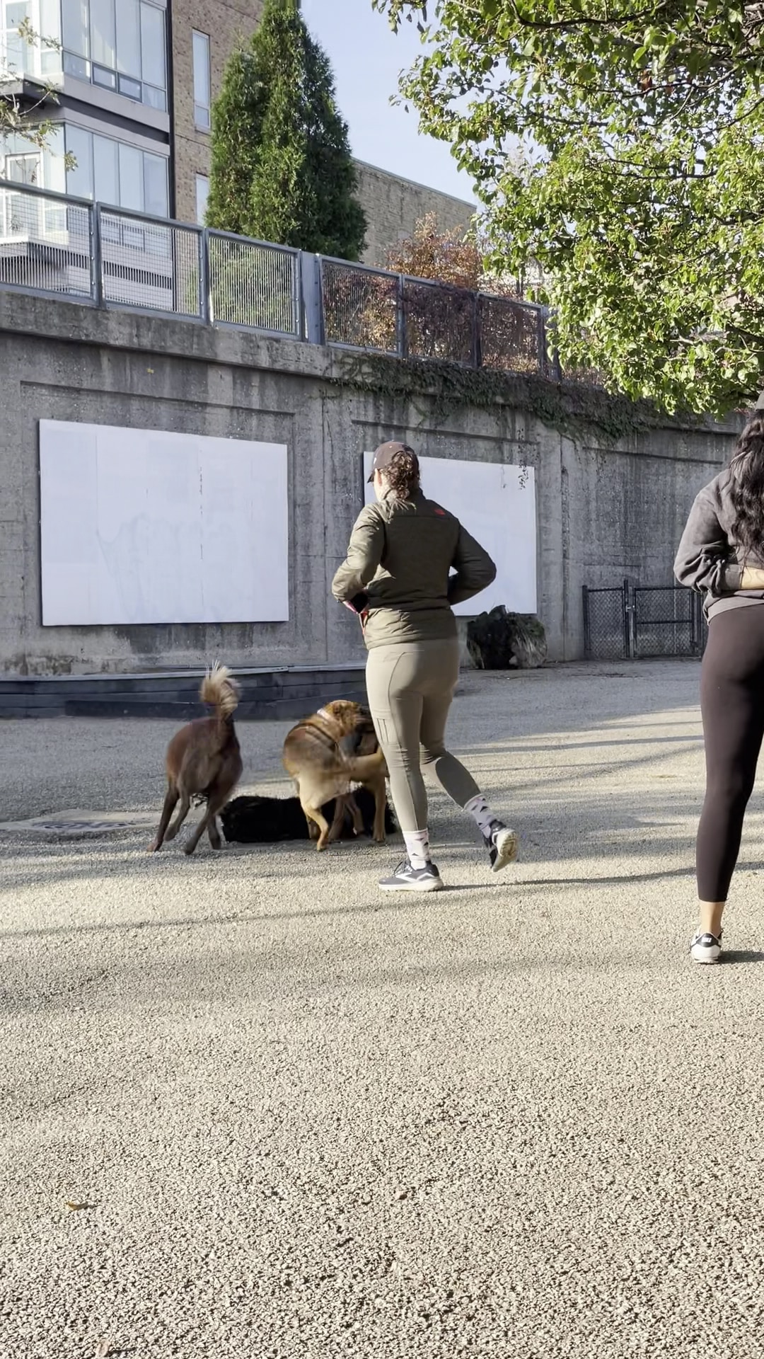 Churchill Park Dog Friendly Area - Chicago, IL