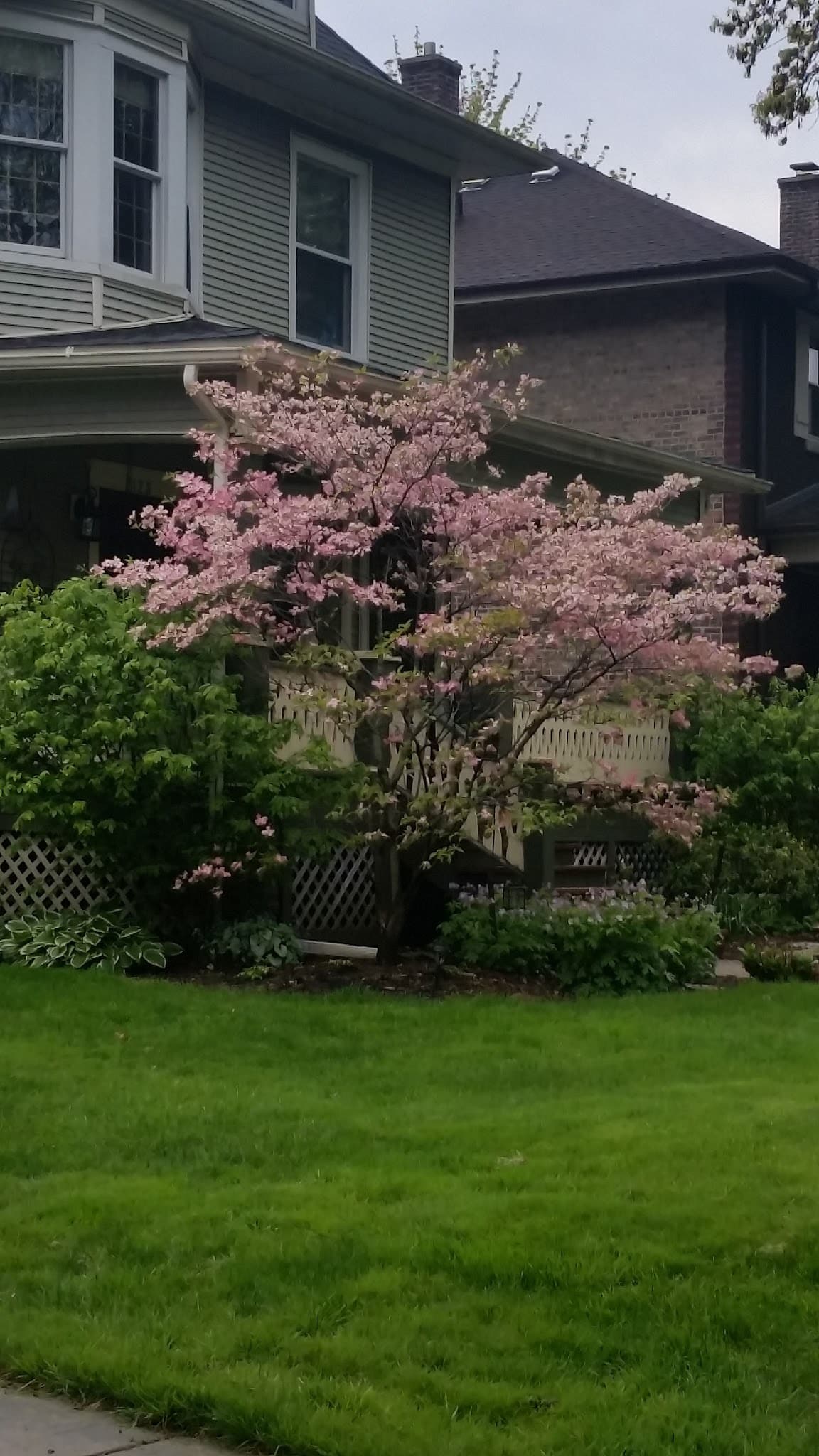 Crescent Park - Chicago, IL