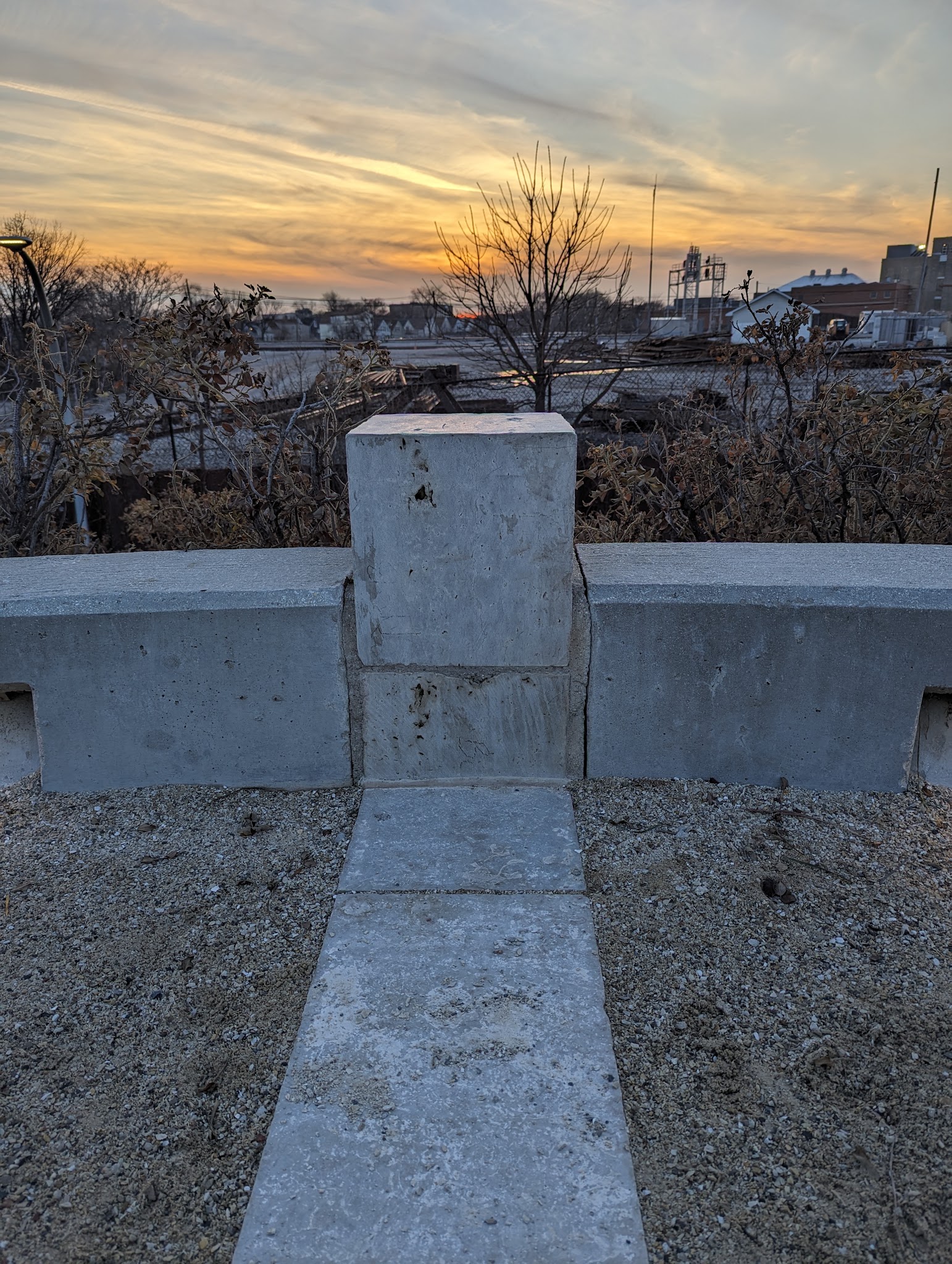 Friends of The Bloomingdale Trail - Chicago, IL