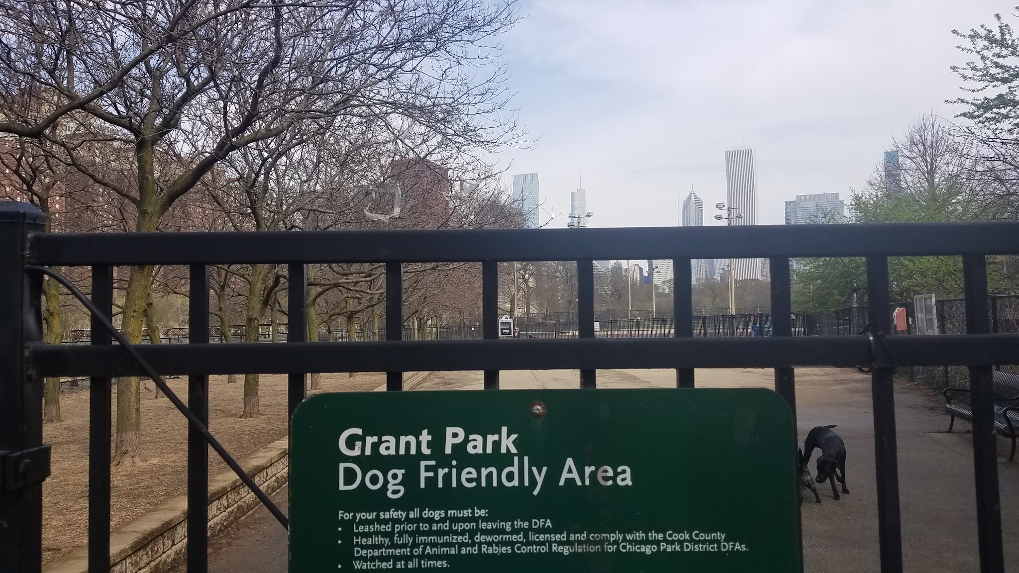 Grant Bark Park - Chicago, IL