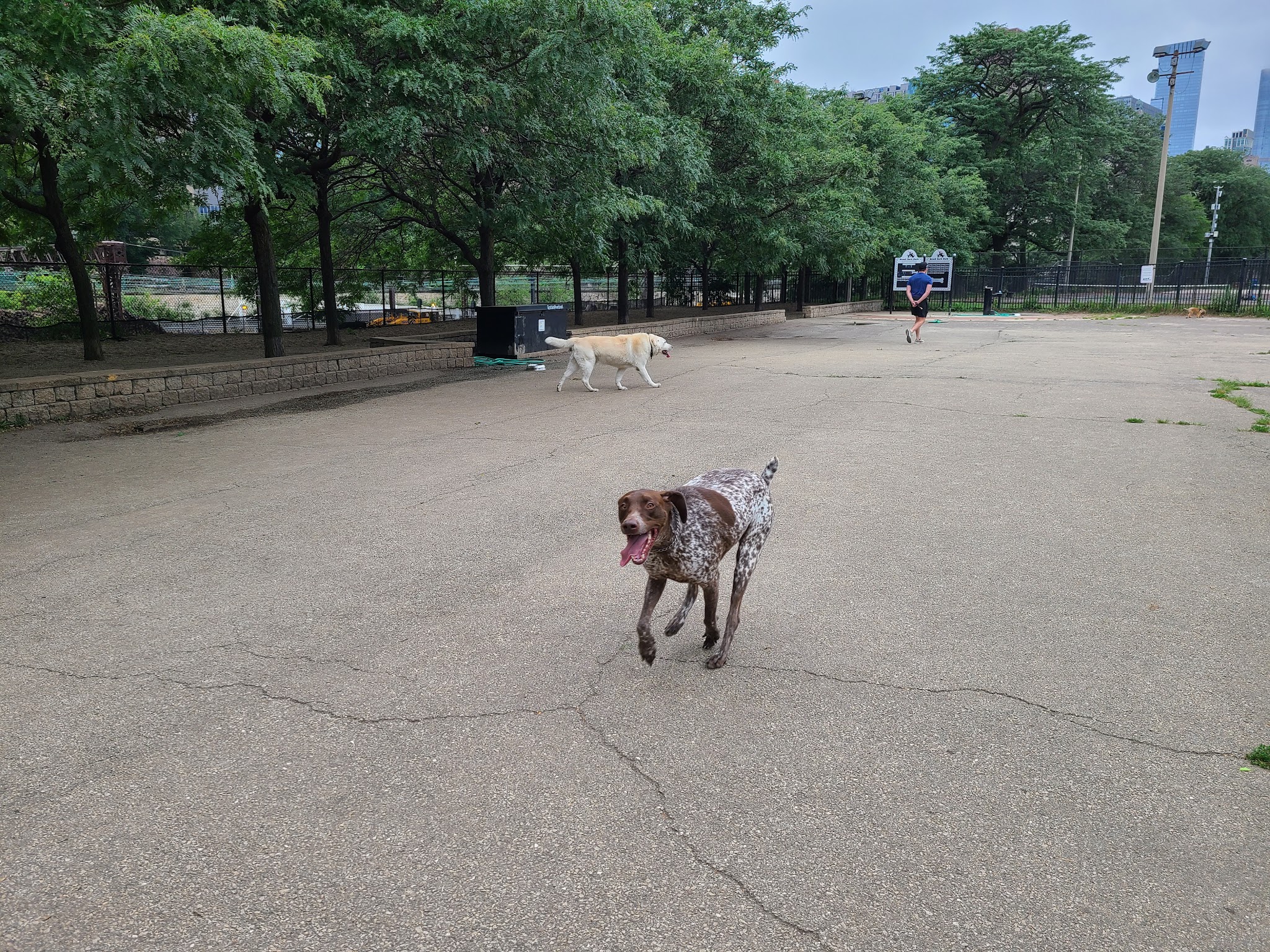 Grant Bark Park - Chicago, IL