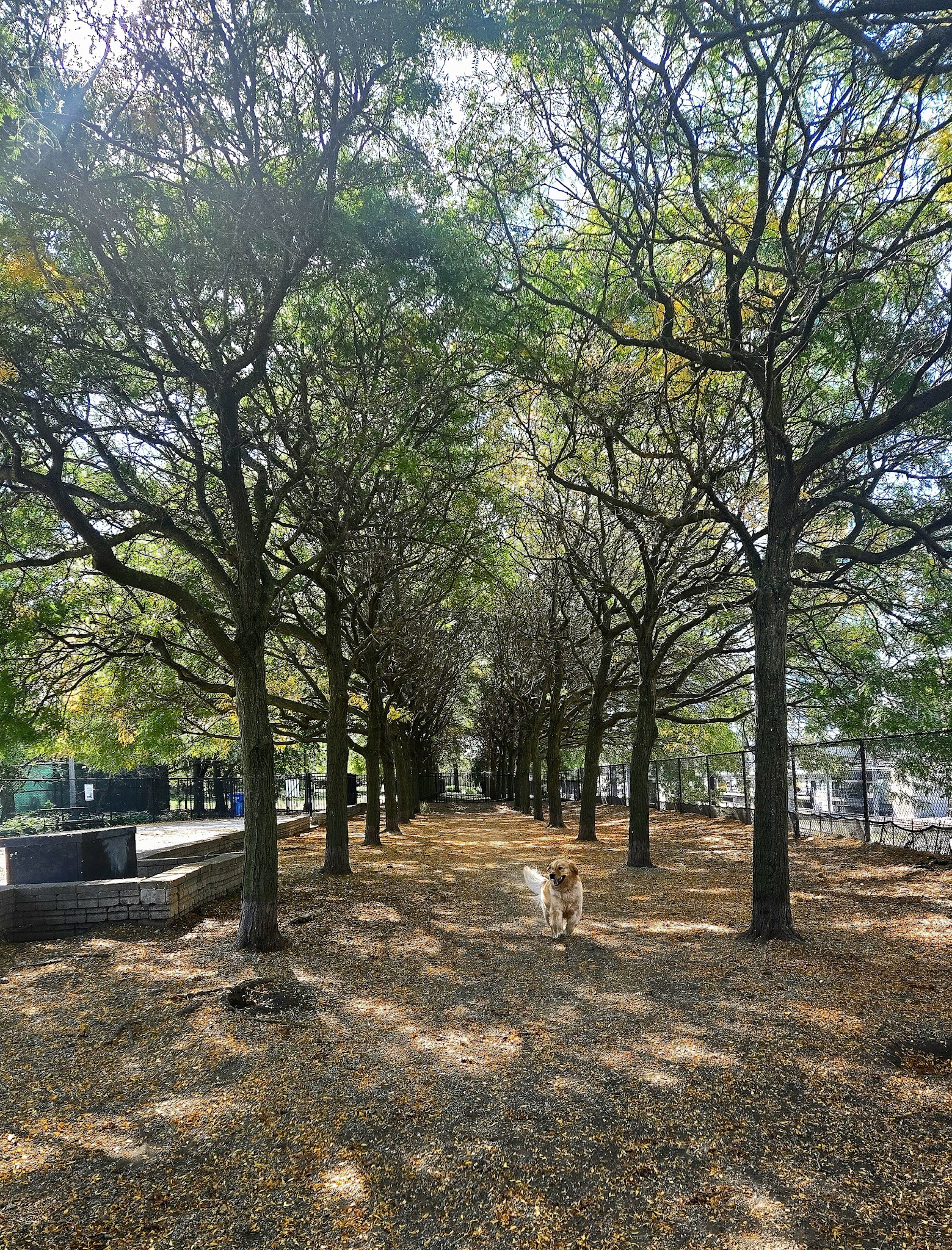 Grant Bark Park - Chicago, IL