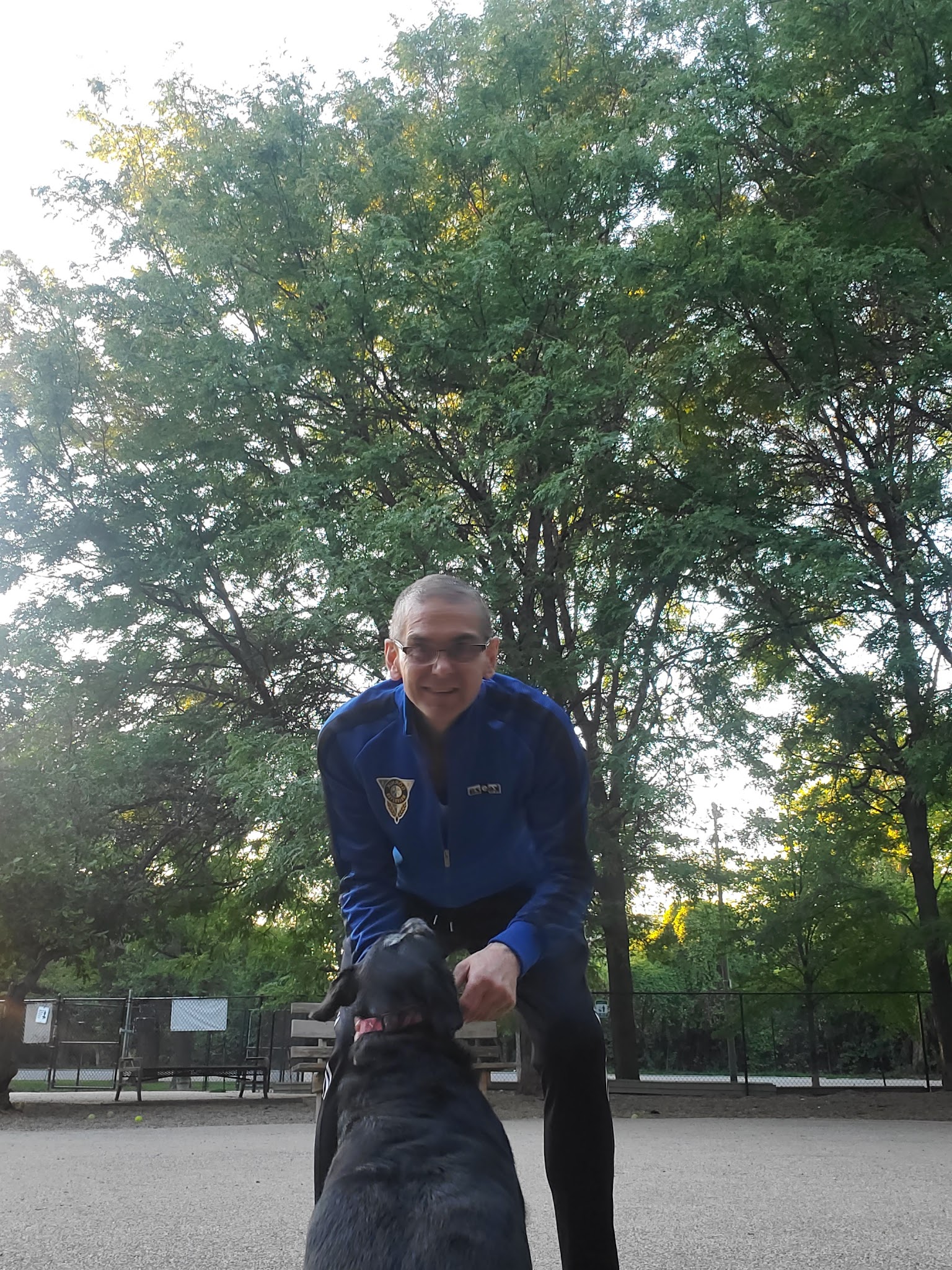 Norwood Park Dog Friendly Area - Chicago, IL
