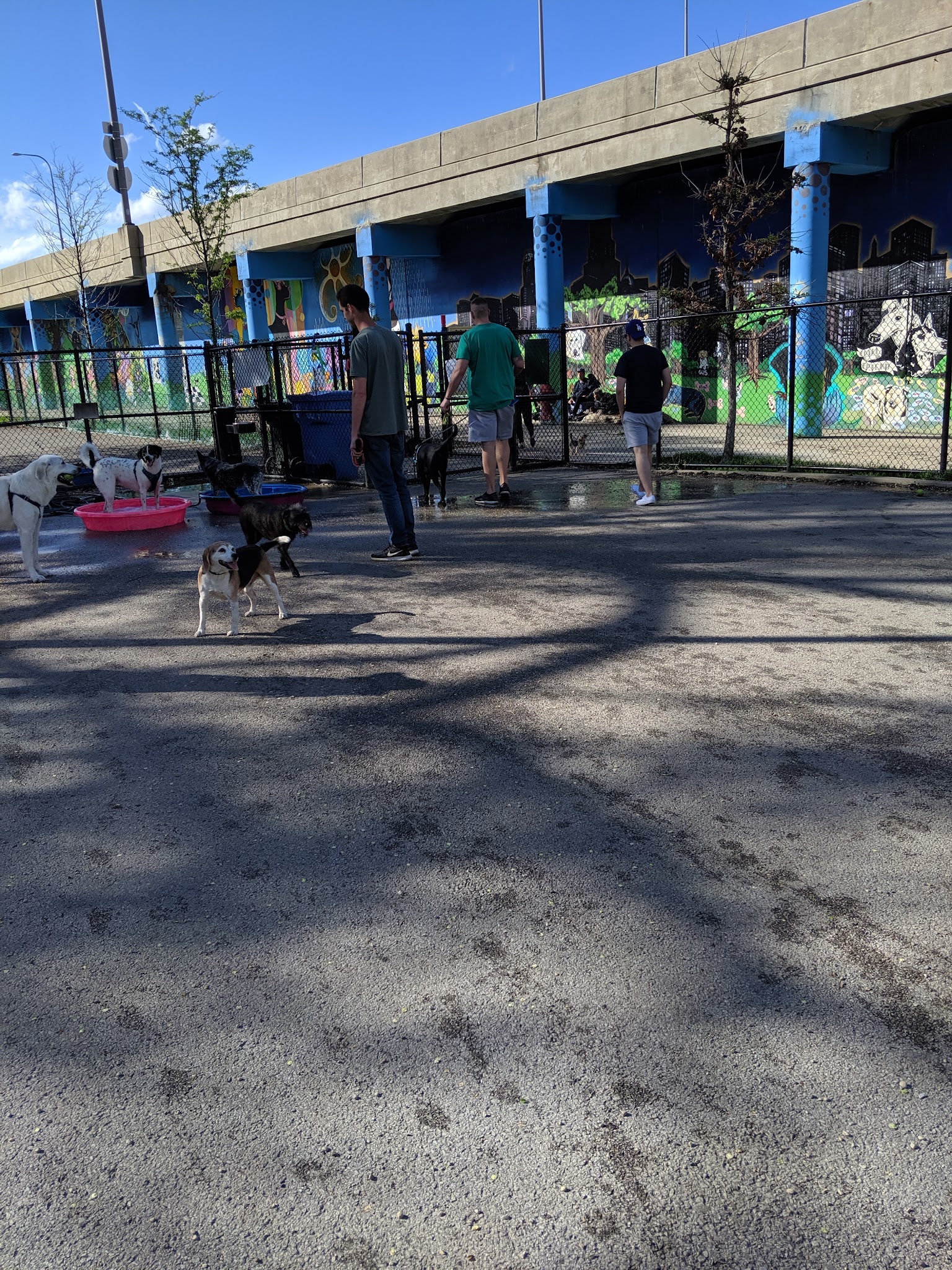 Park #556 - Chicago, IL