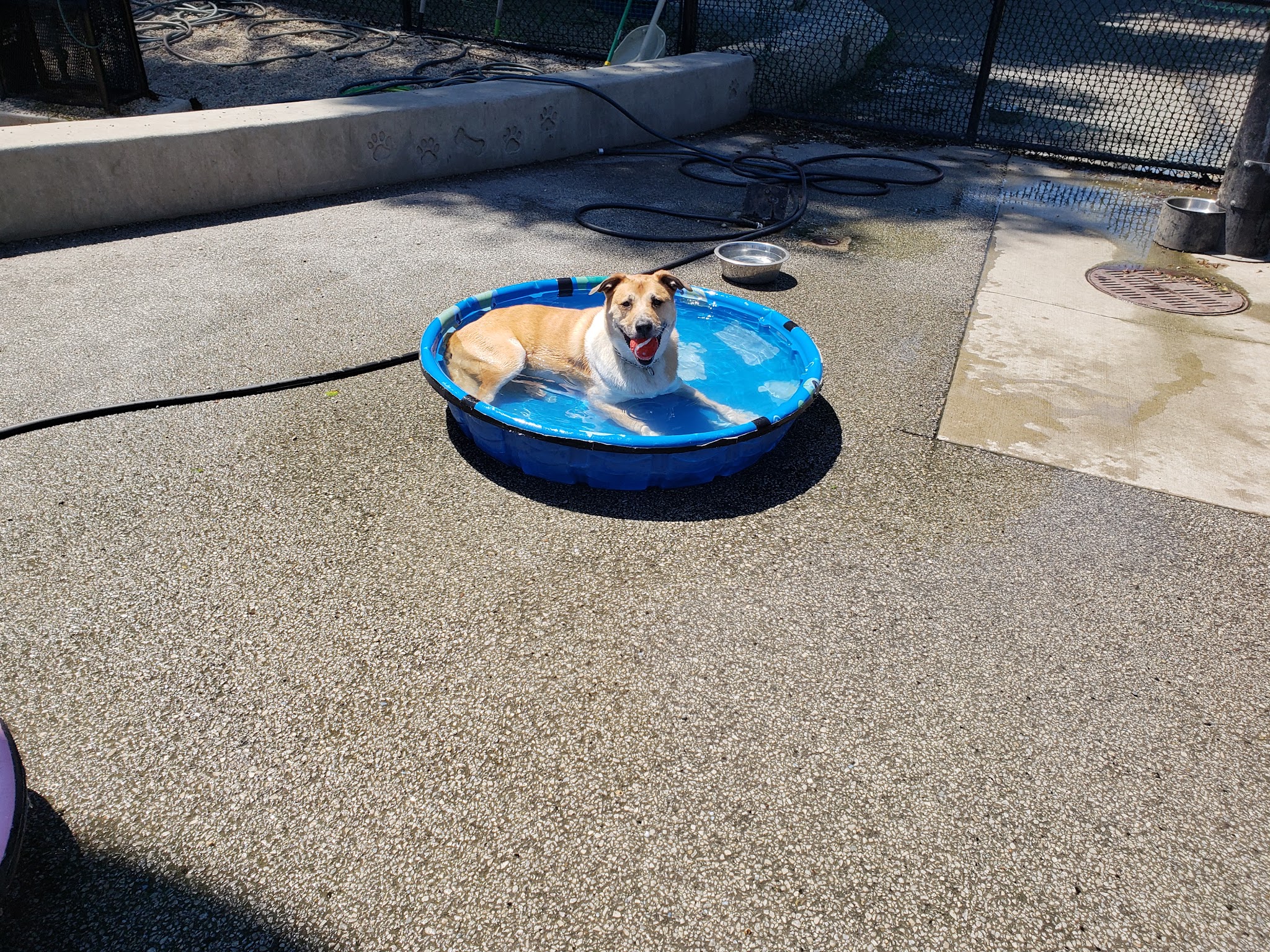 Park #556 - Chicago, IL