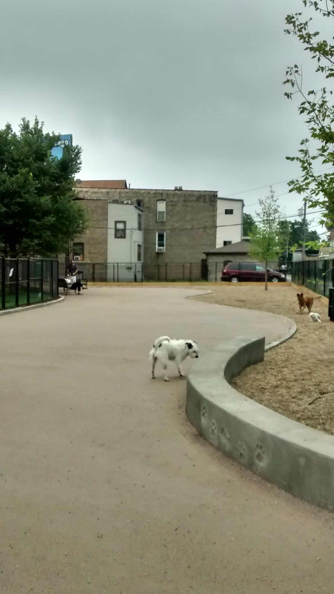 Park #556 - Chicago, IL