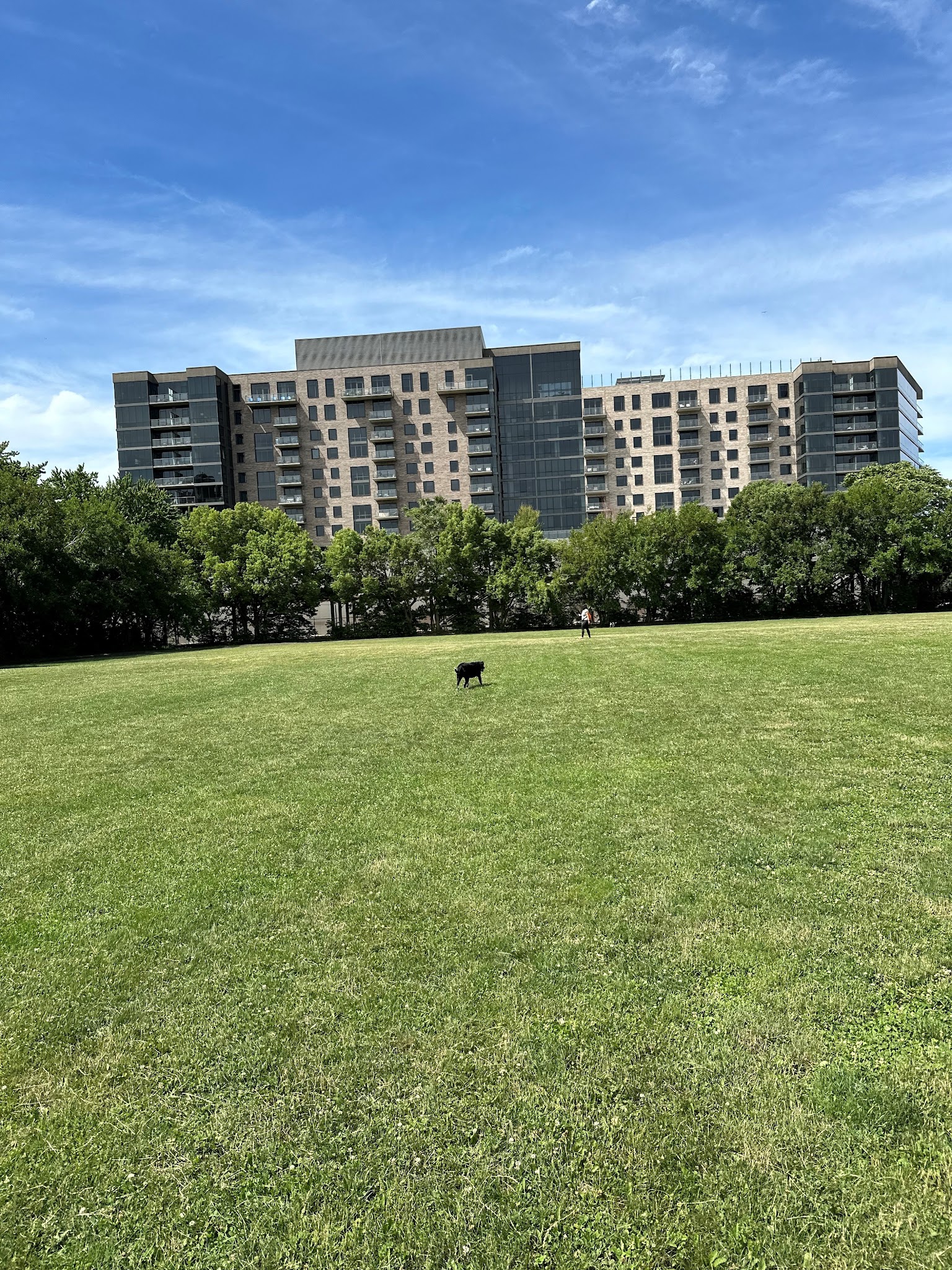 Park #598 - Chicago, IL